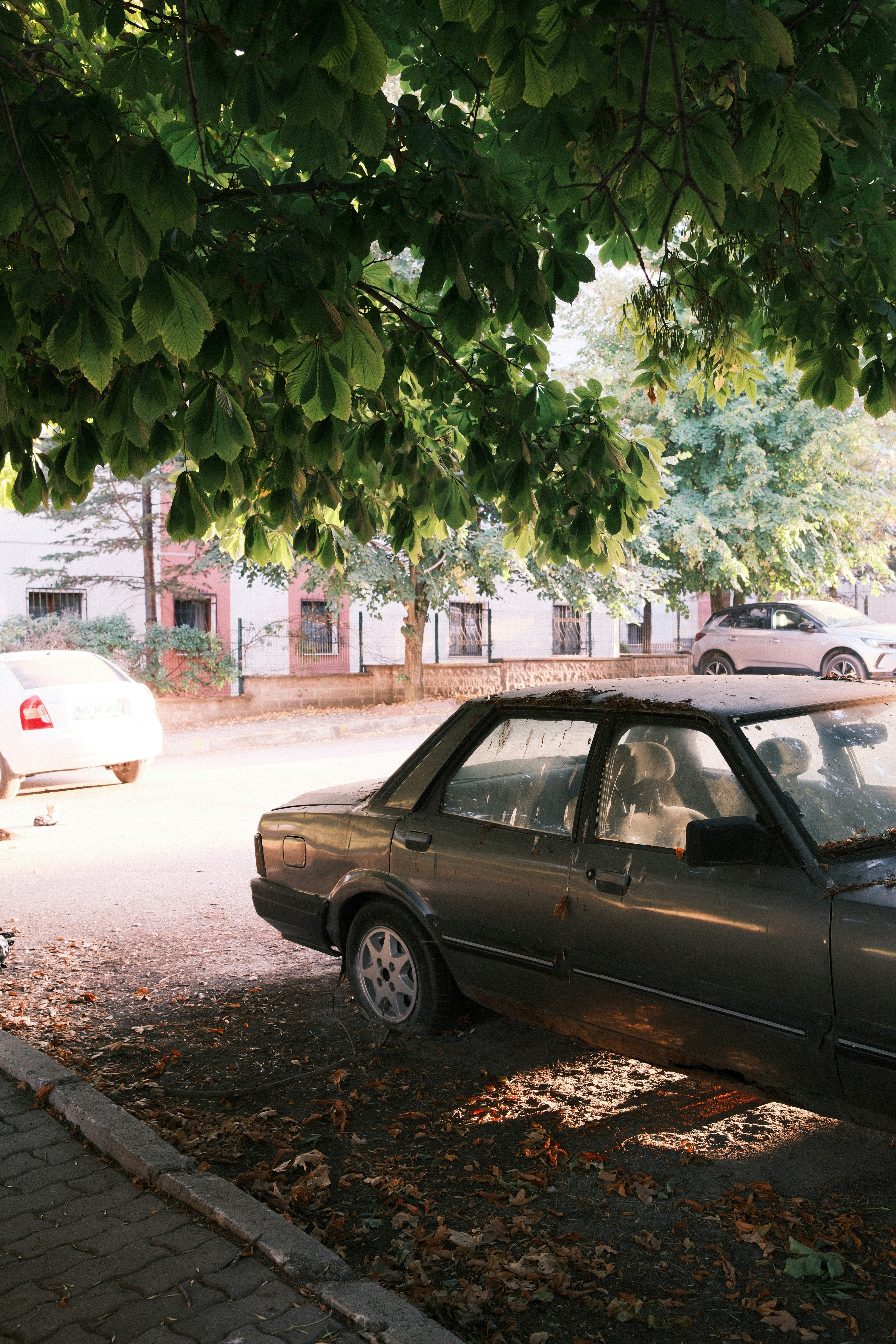 Eine staubige graue Limousine, die unter einem laubreichen Baum auf einer ruhigen Straße geparkt ist