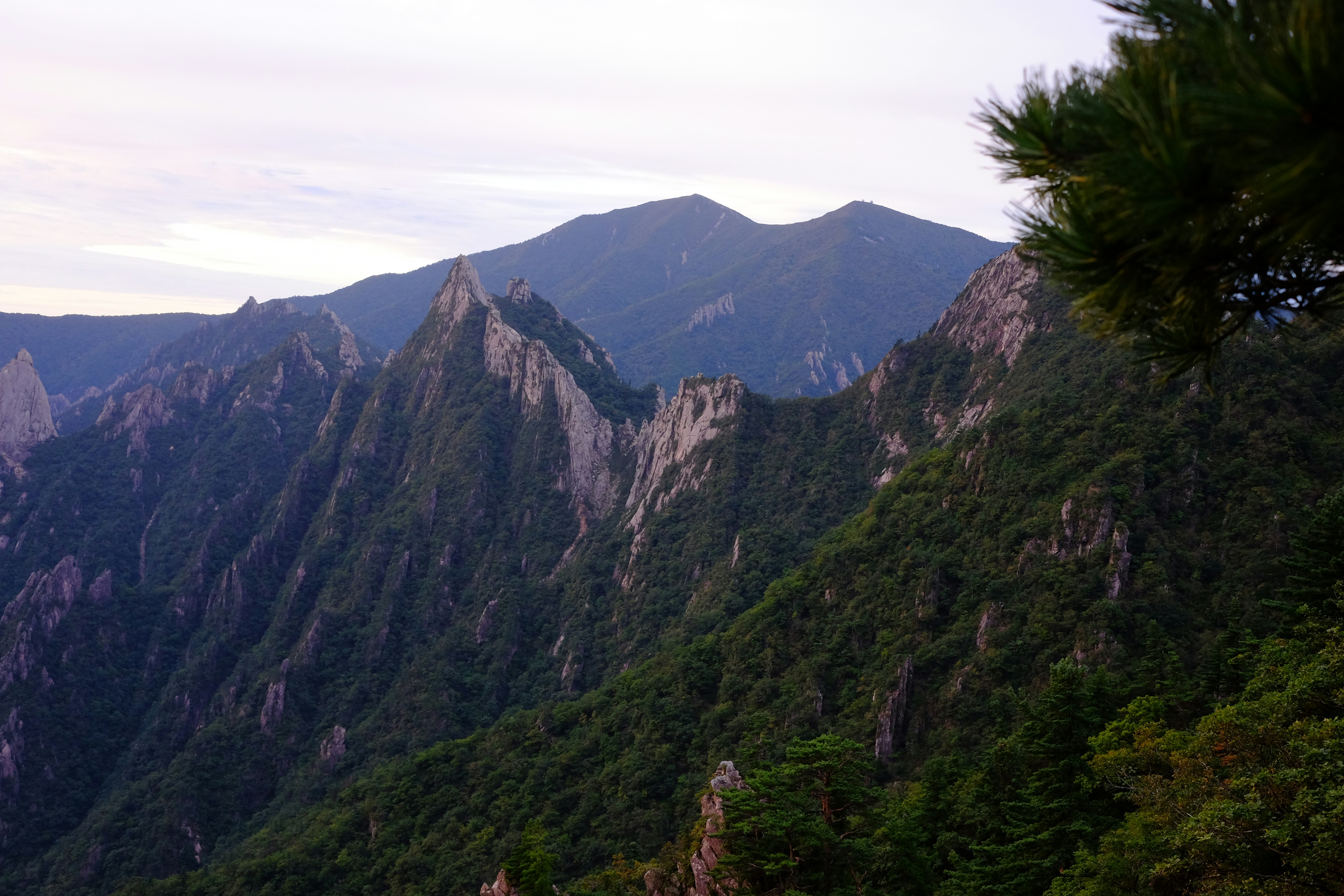 Jagged rocky peaks rising above a dense green forest under a pale sky