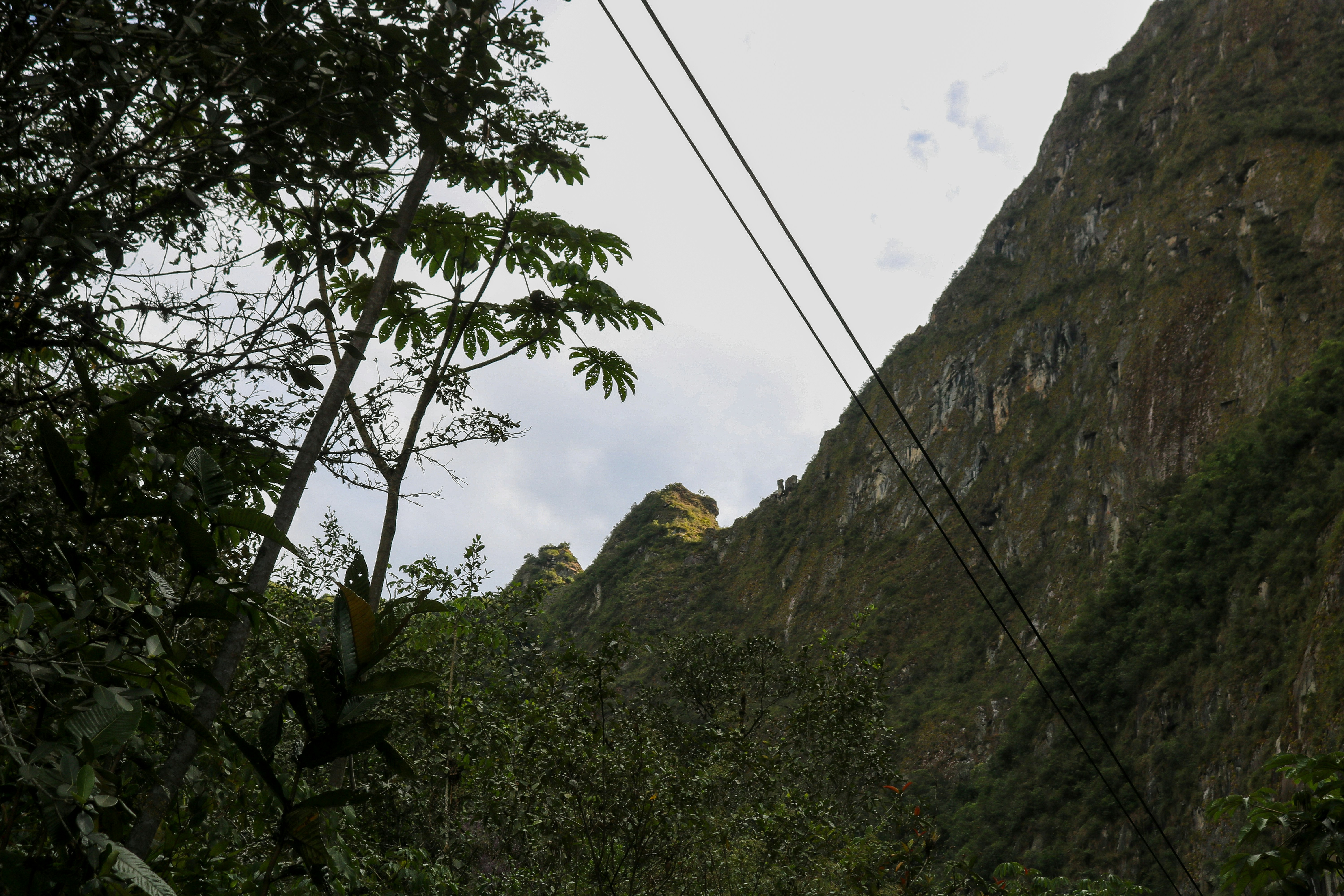 Rocky mountain slope behind green trees - Free Photo on Unsplash