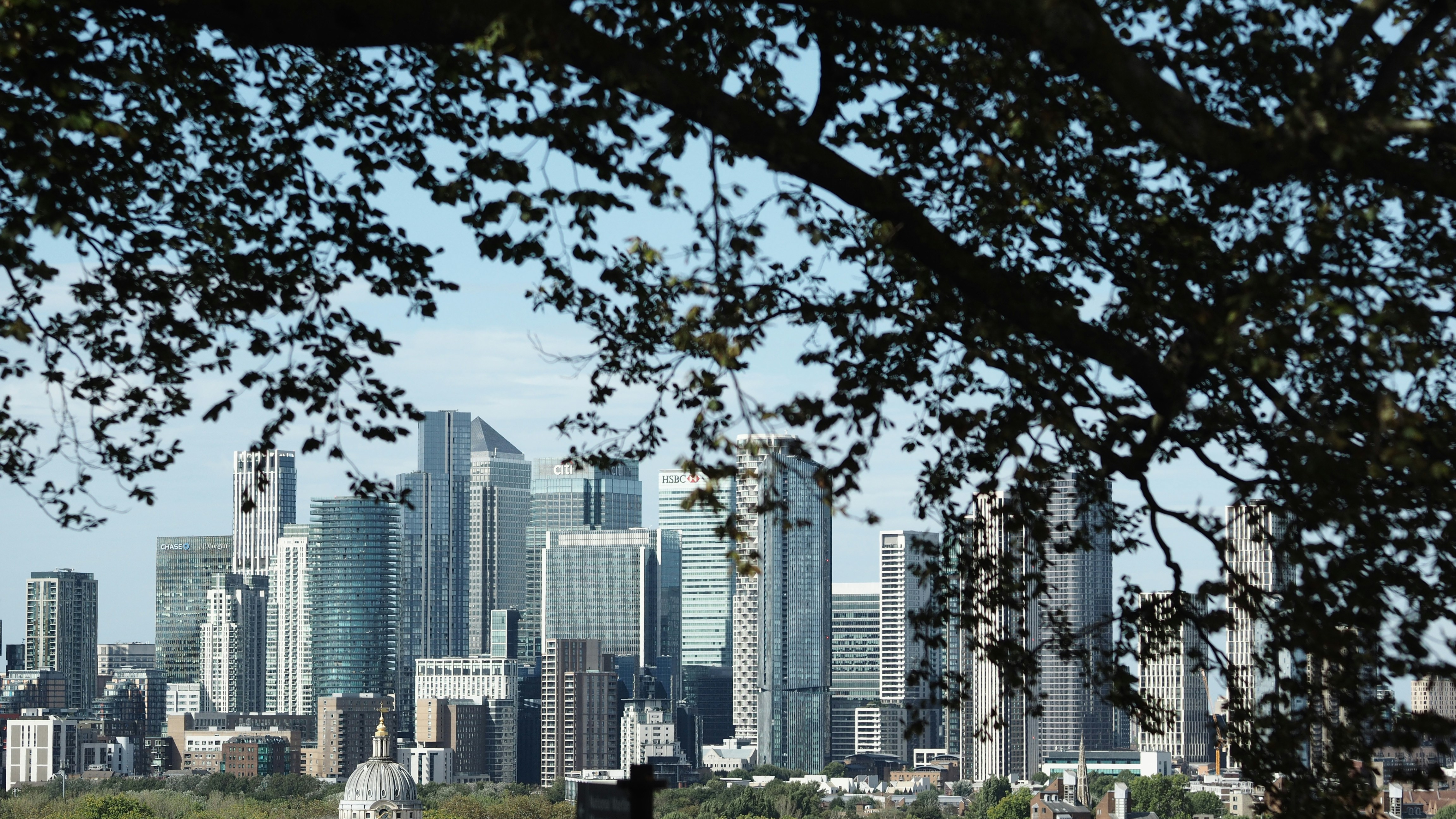 I grattacieli del distretto finanziario di Canary Wharf a Londra incorniciati da rami d'albero