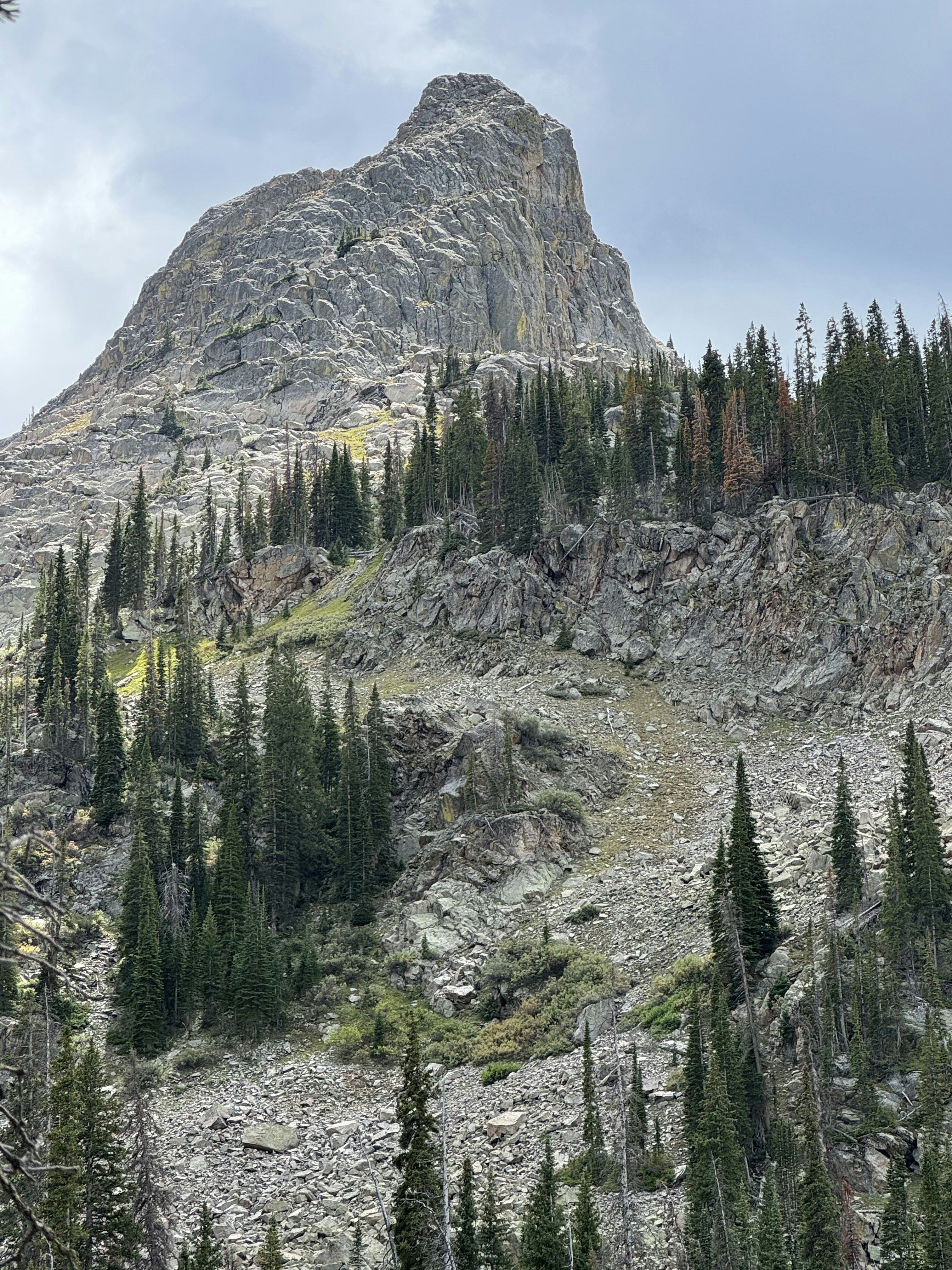 A rocky mountain peak rising above a forest of evergreen trees