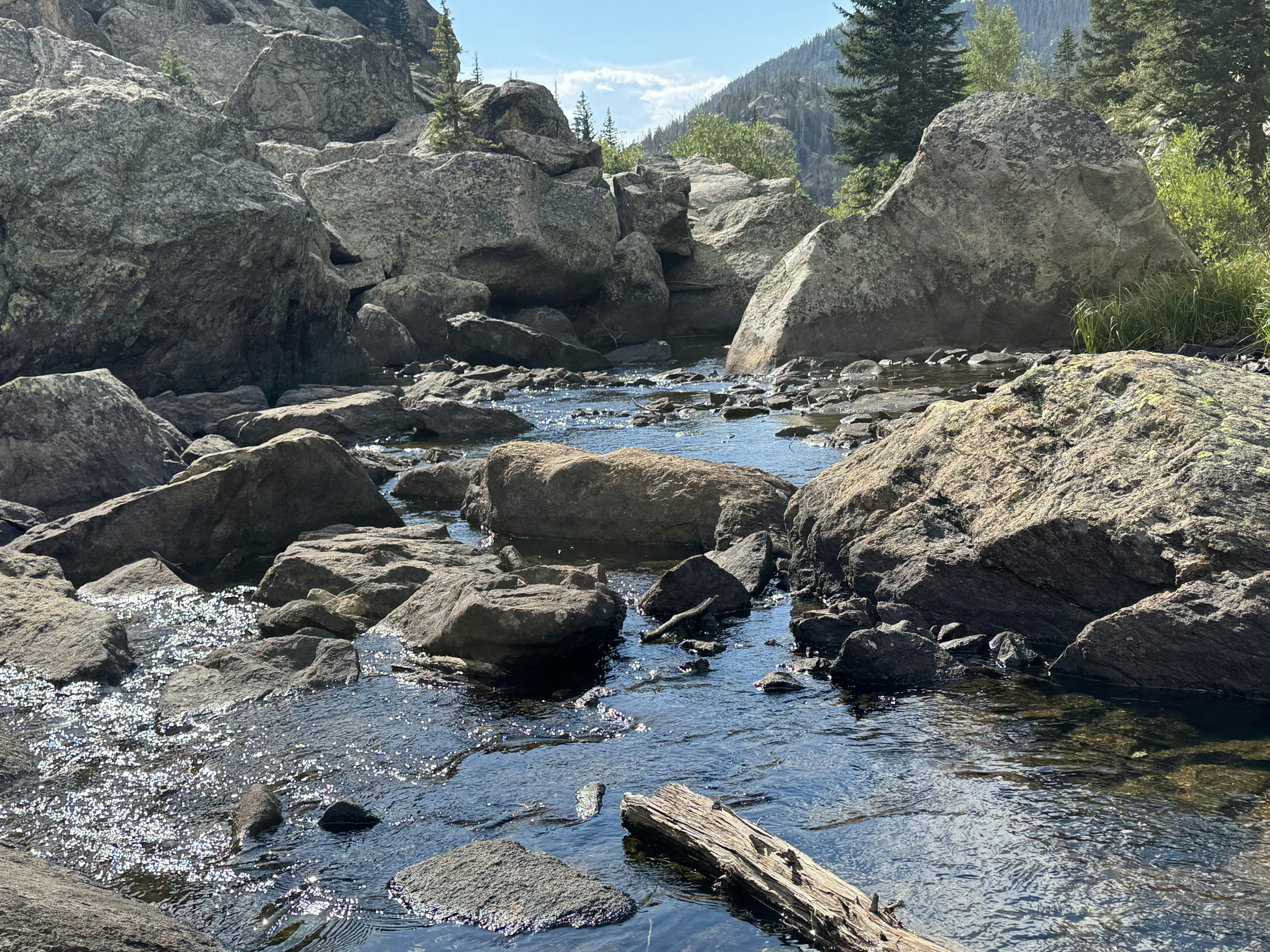 A shallow stream flowing over dark rocks in a mountain forest