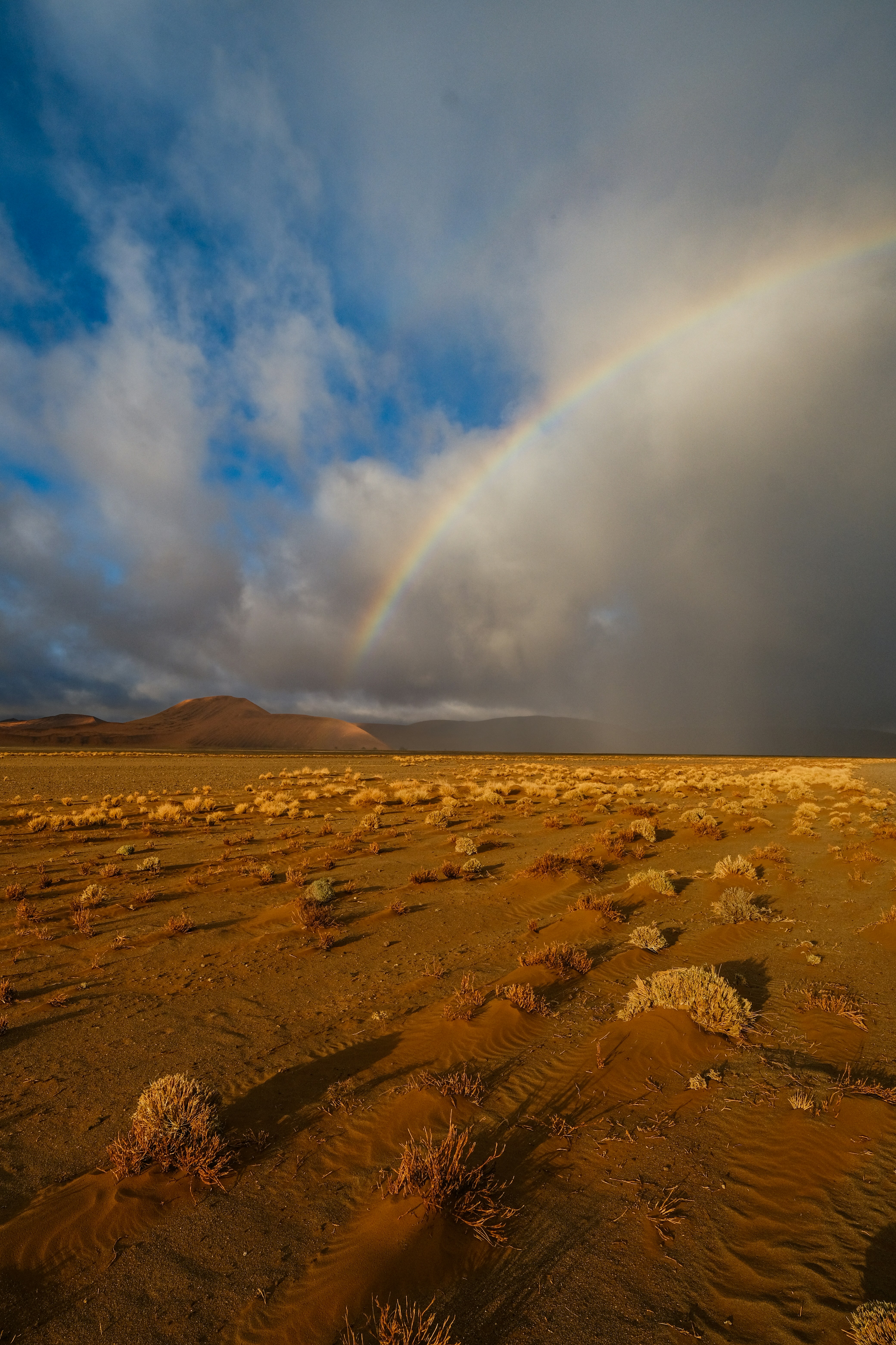 A rainbow arching over a vast desert landscape with sparse dry shrubs
