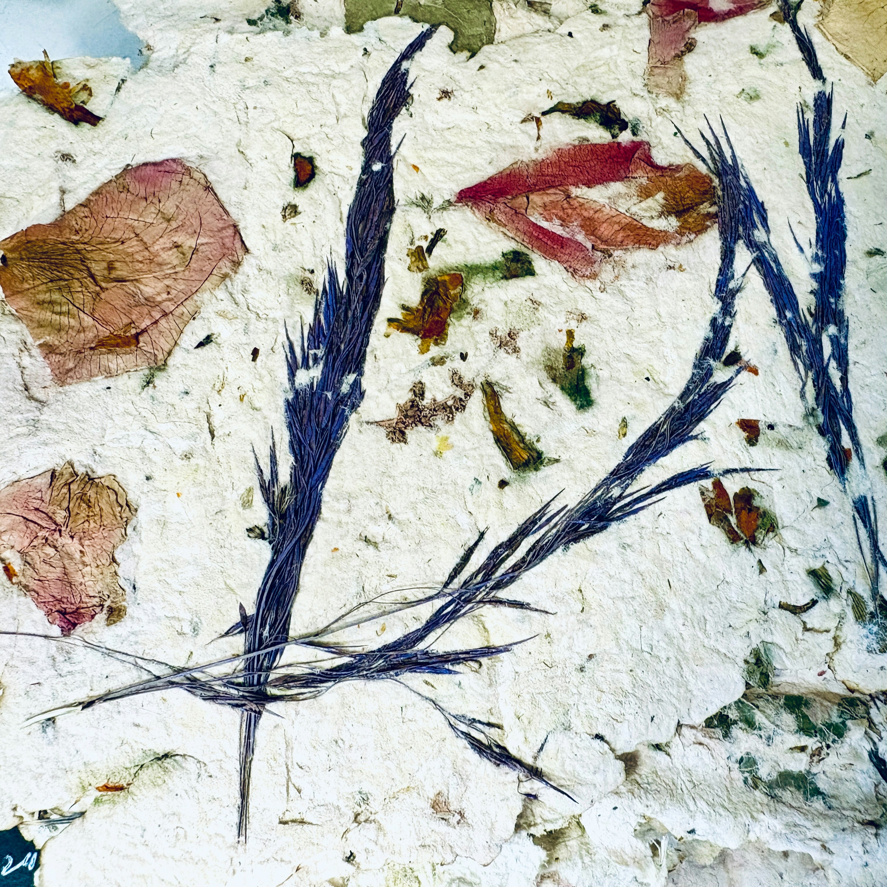 Pressed purple grass and dried flower petals embedded in textured handmade paper