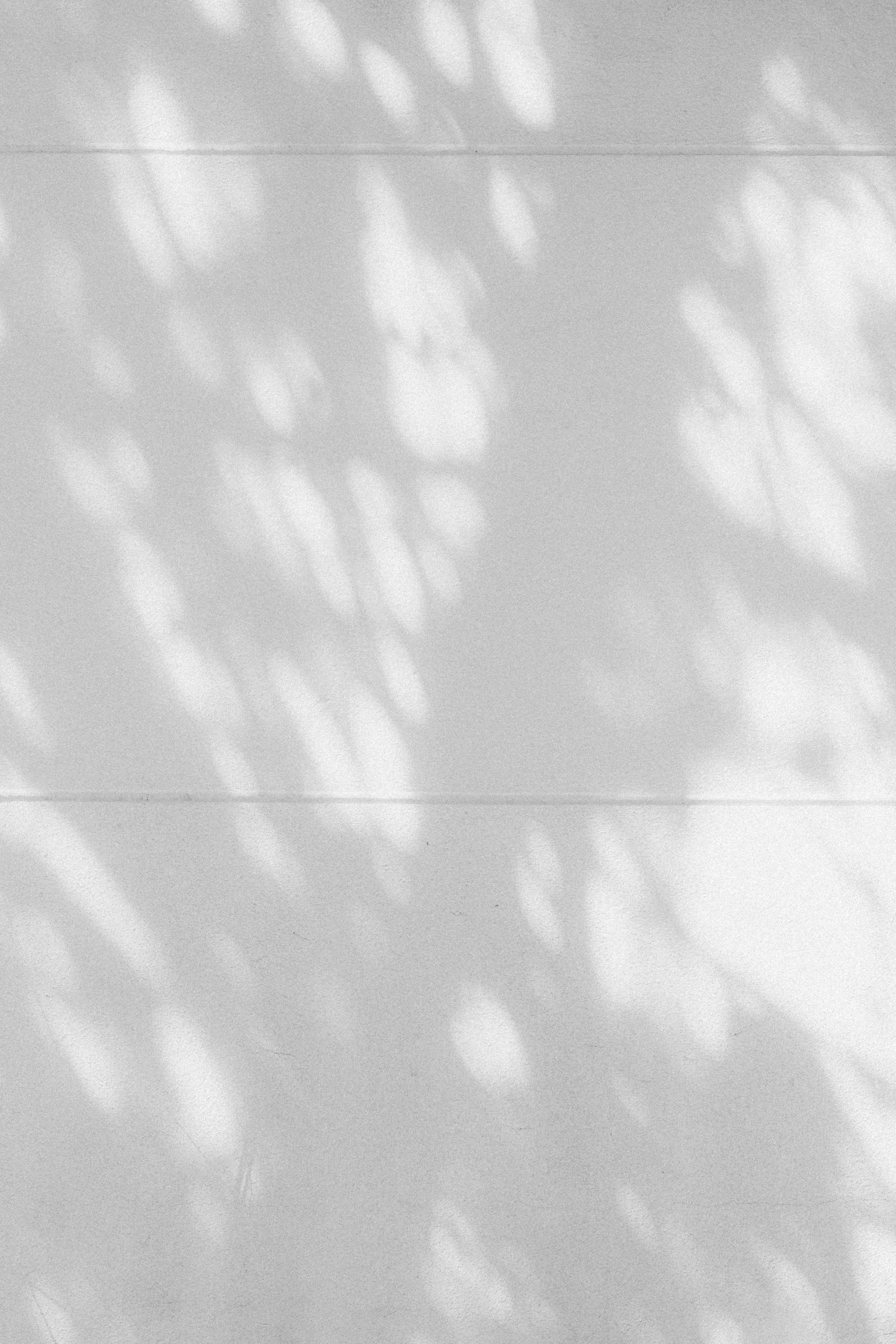 Soft dappled shadows of leaves cast onto a plain white wall