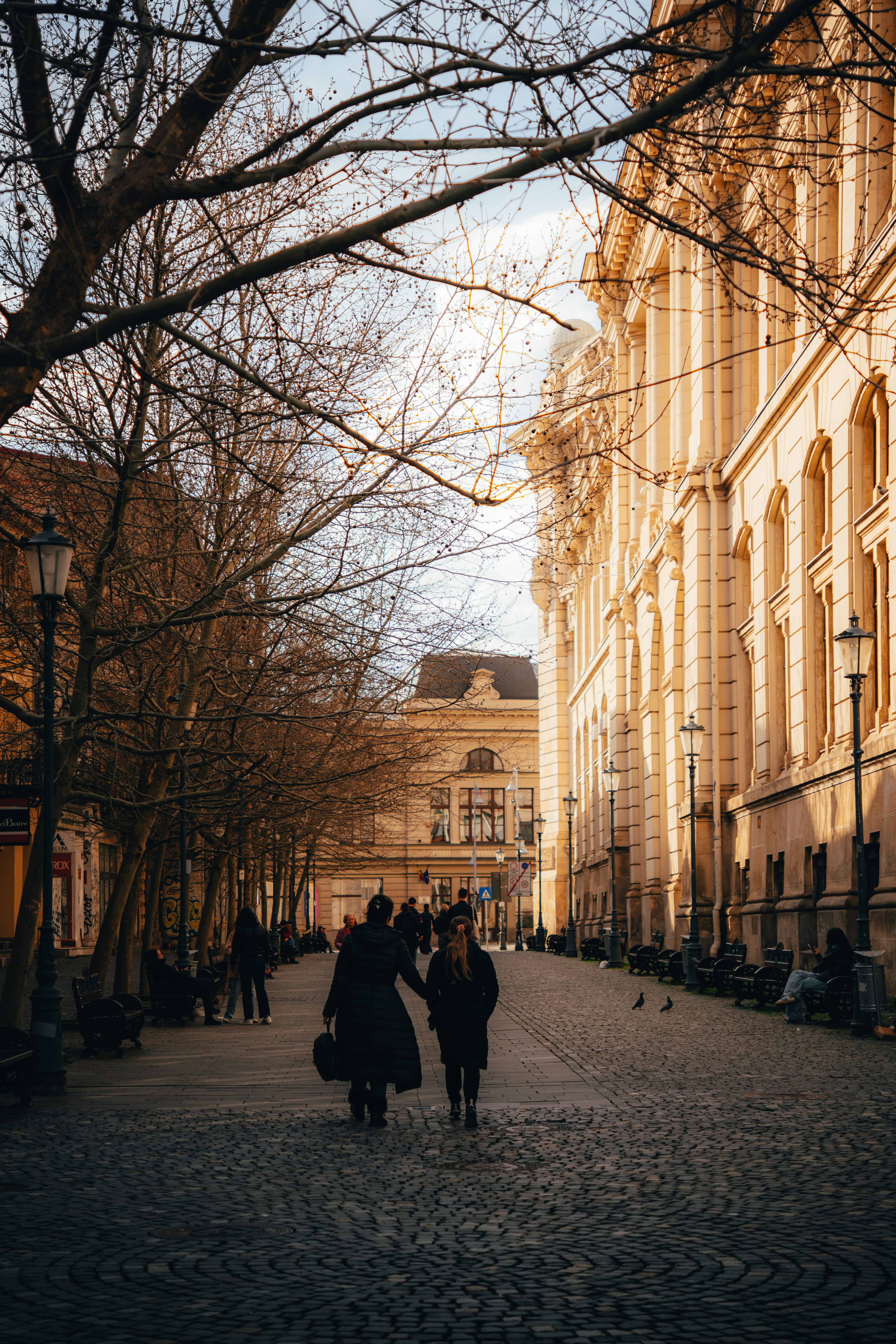 People walking along a cobblestone street lined with trees and historic buildings in Bucharest