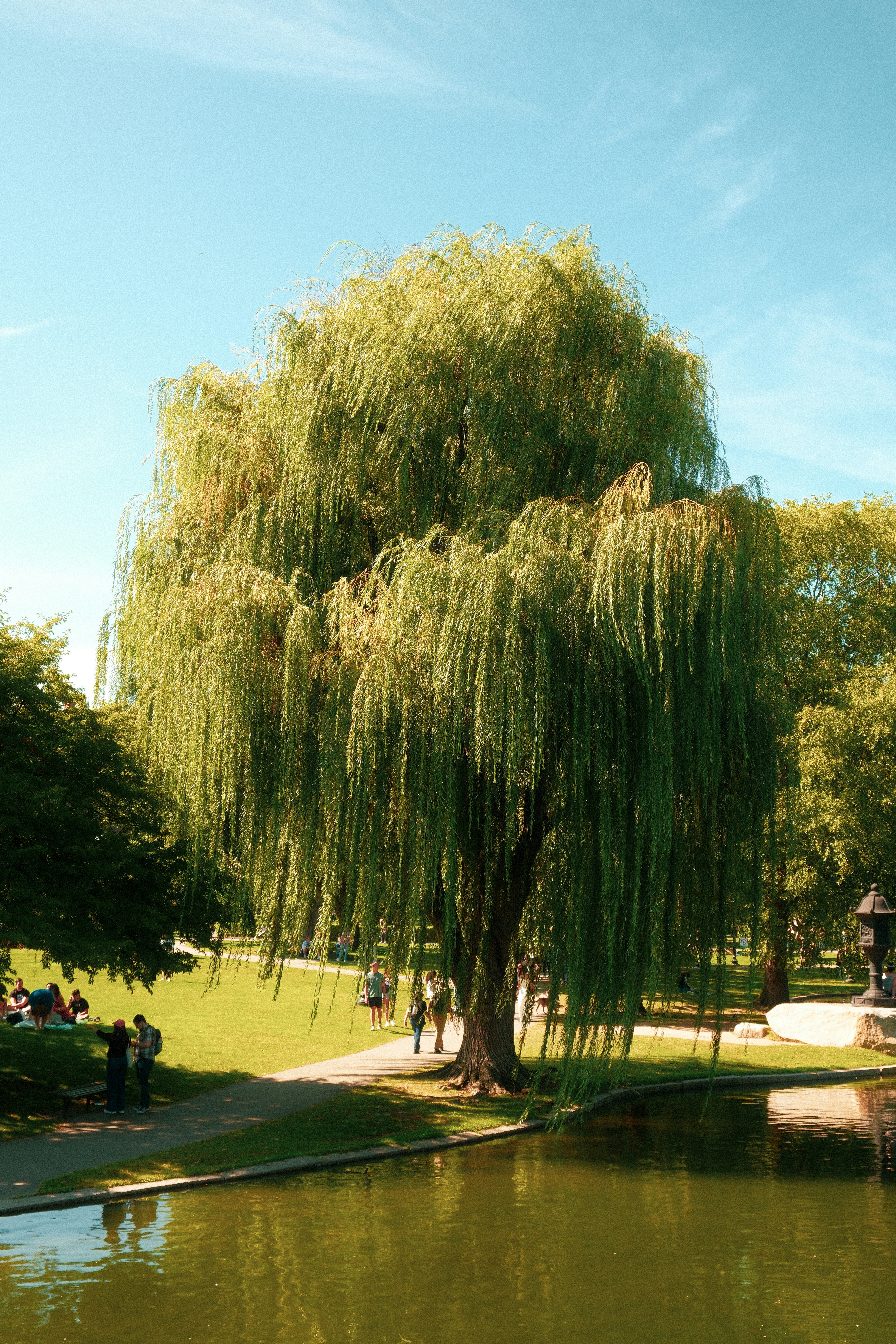 Parc des Glacis — Besançon