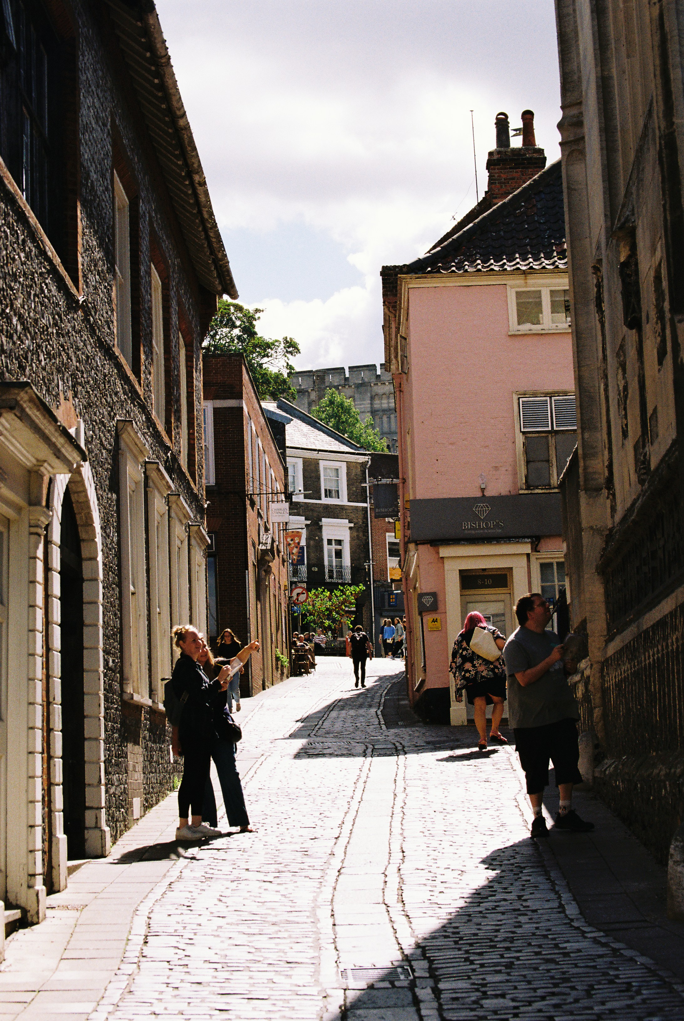 Visitors on a steep cobbled lane lined with flint and pastel buildings - self-guided history tours