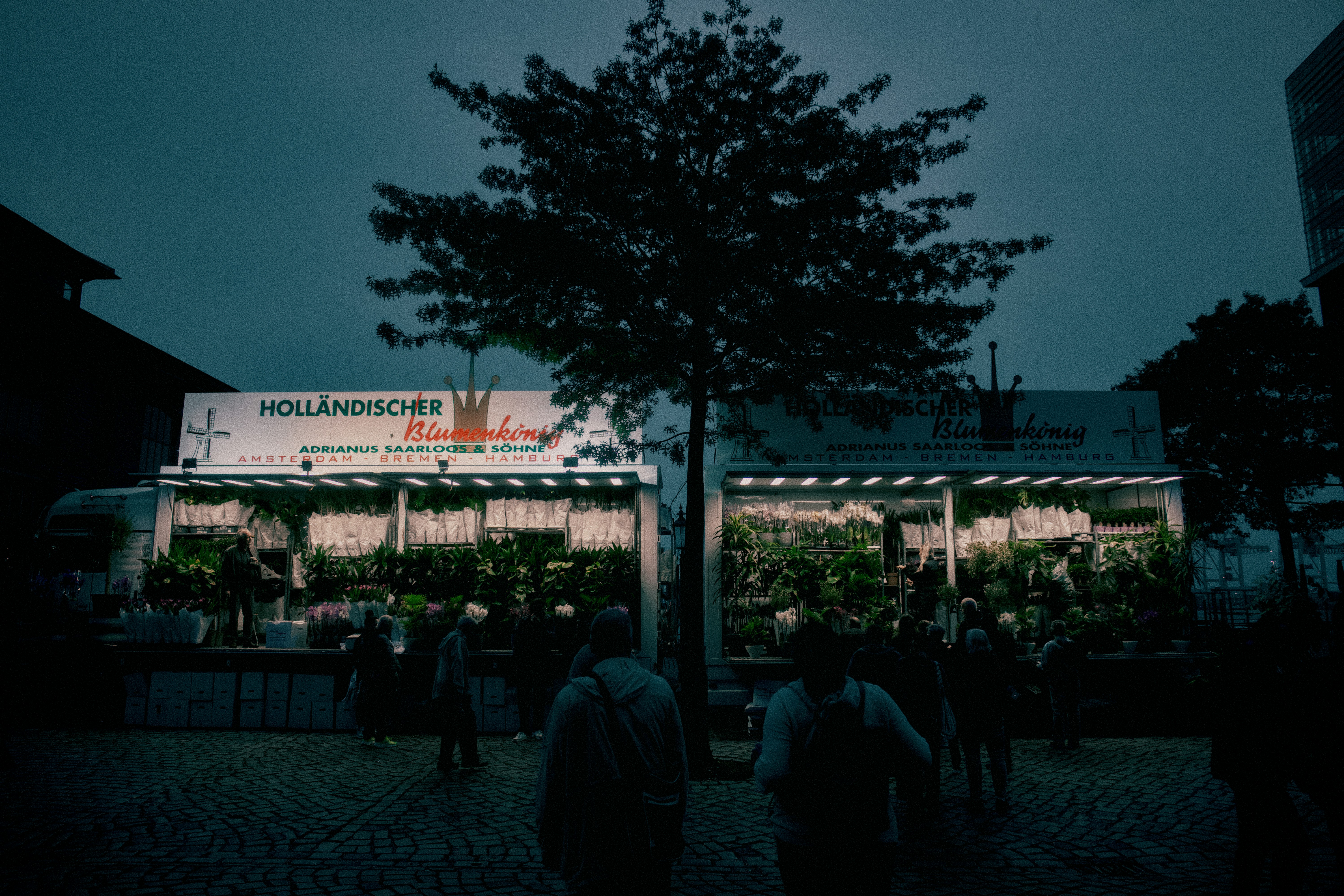 People browsing a brightly lit flower stall on a cobblestone square at night