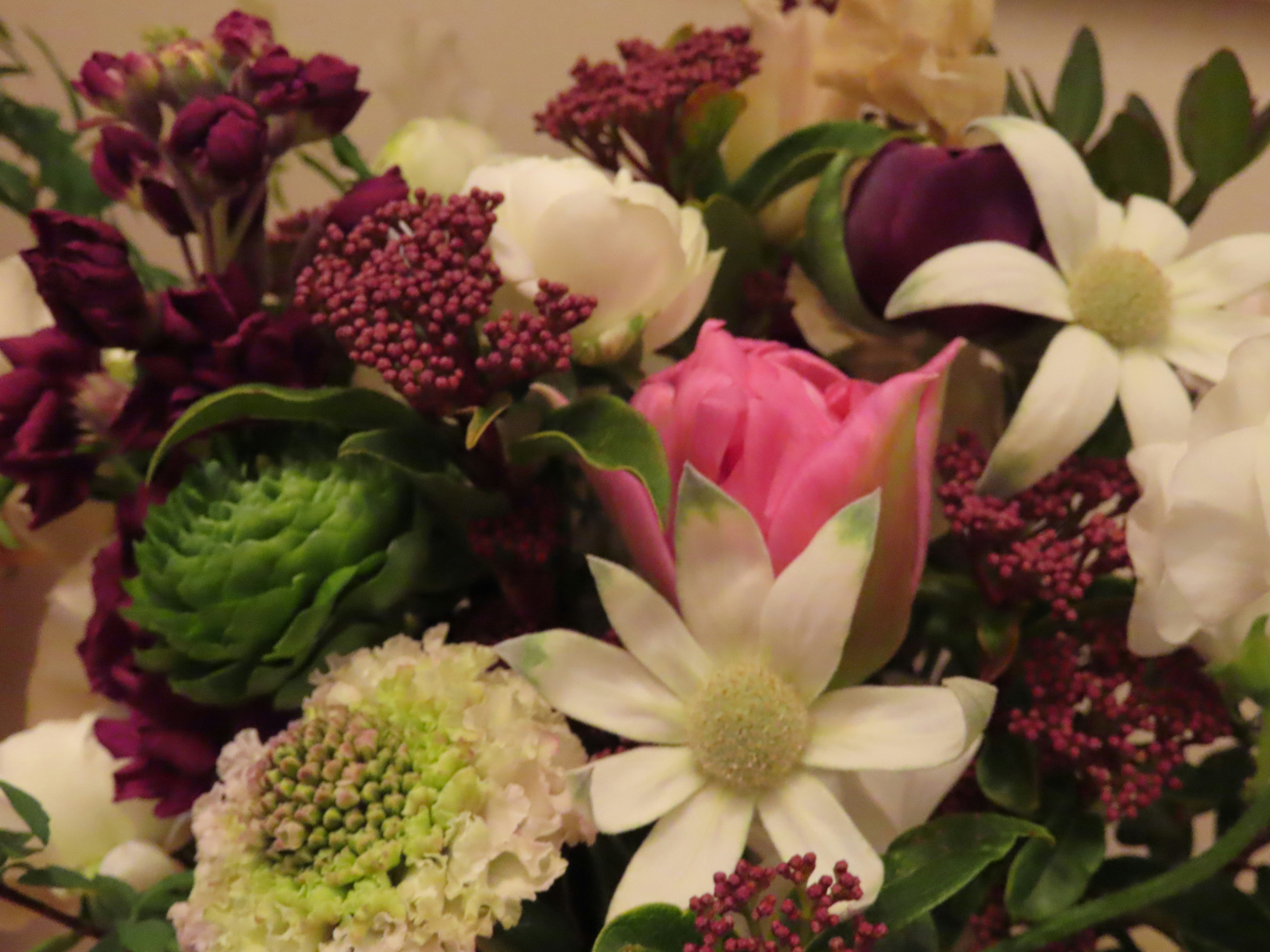 A bouquet of white, pink, and deep purple flowers with green foliage