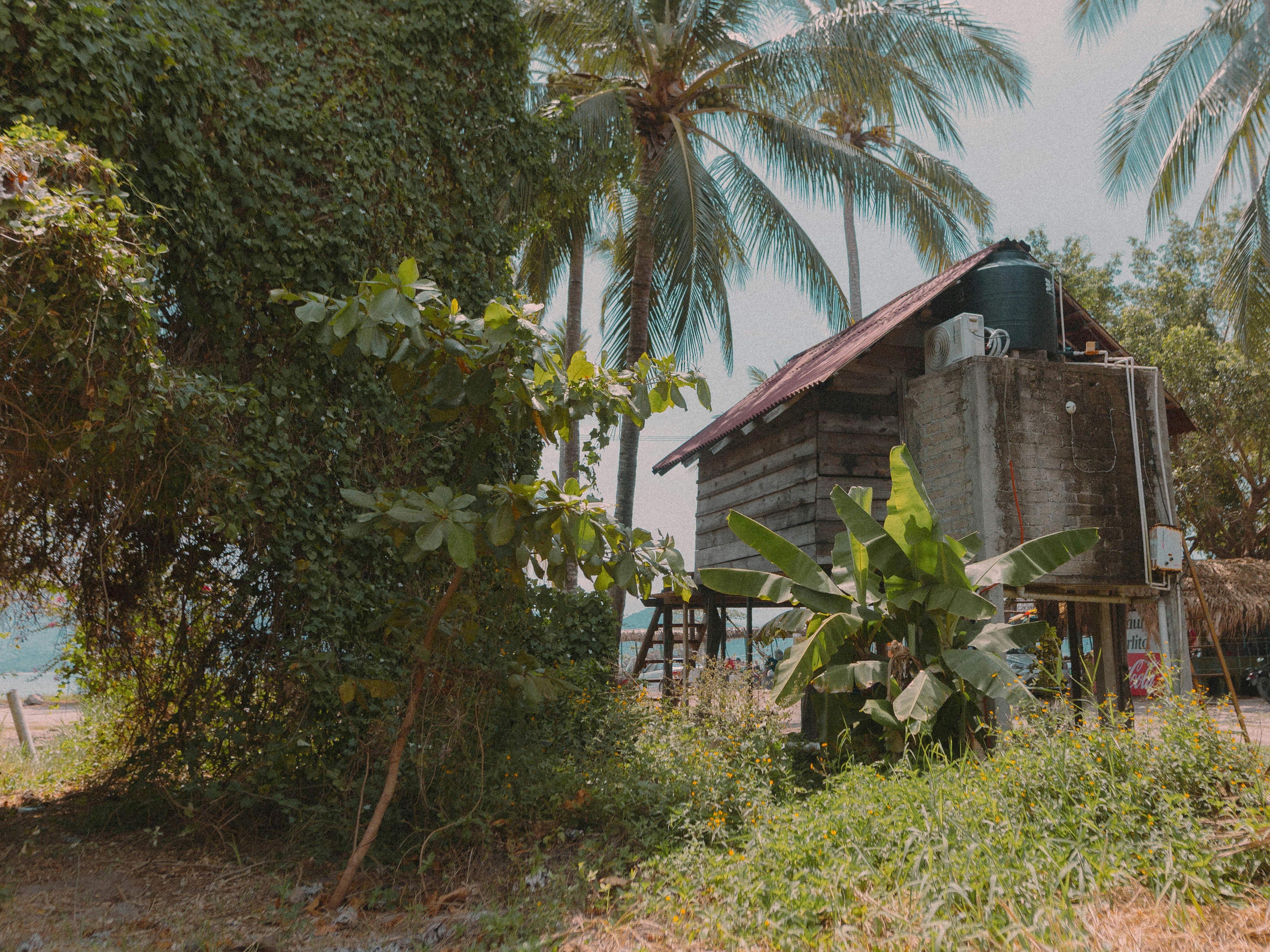 A wooden stilt house with a water tank among palm trees and lush vegetation