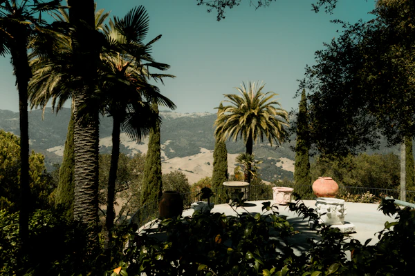 Palm trees and stone planters on a terrace