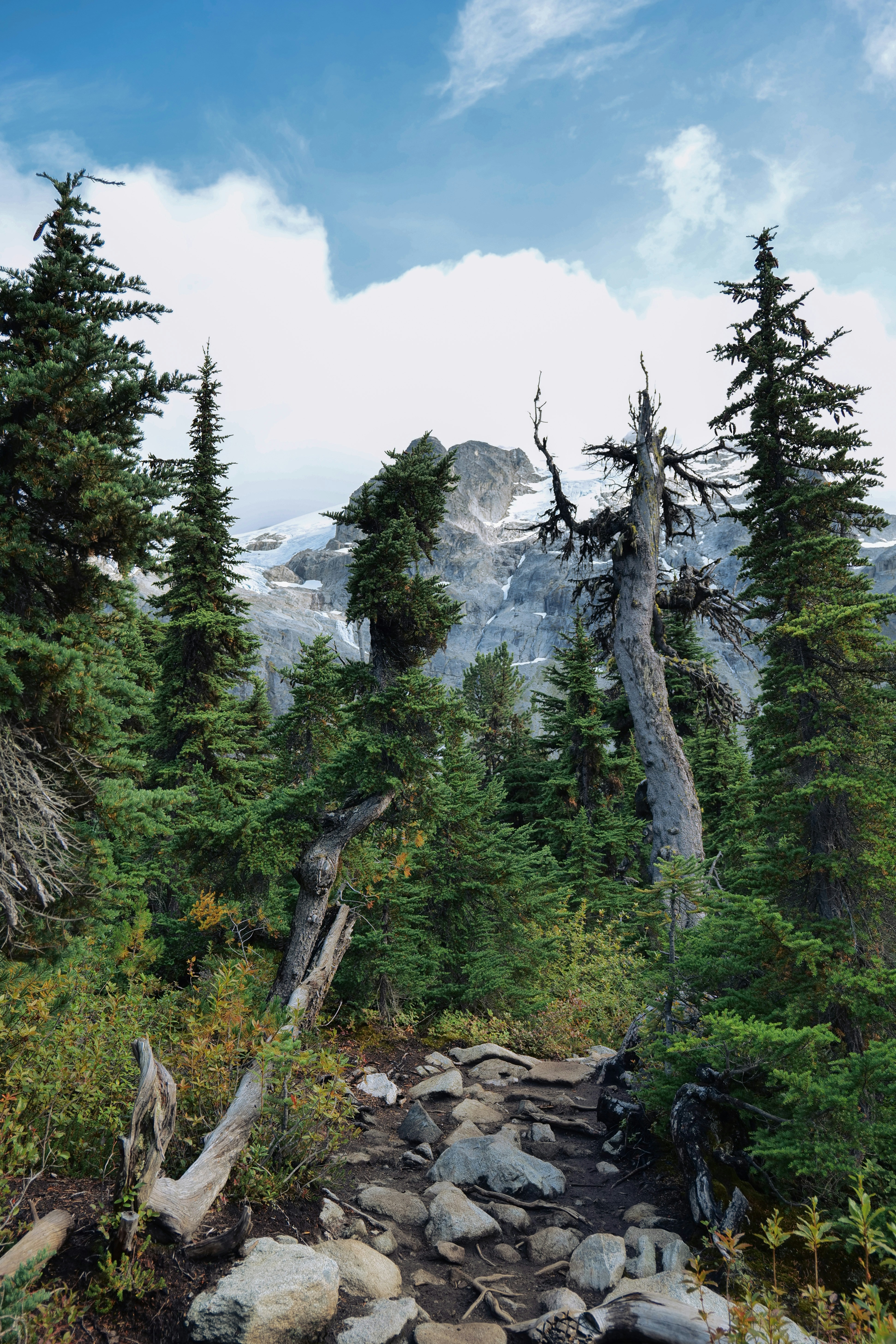 Felsiger Pfad Richtung Mountain Peak - Kostenloses Foto auf Unsplash