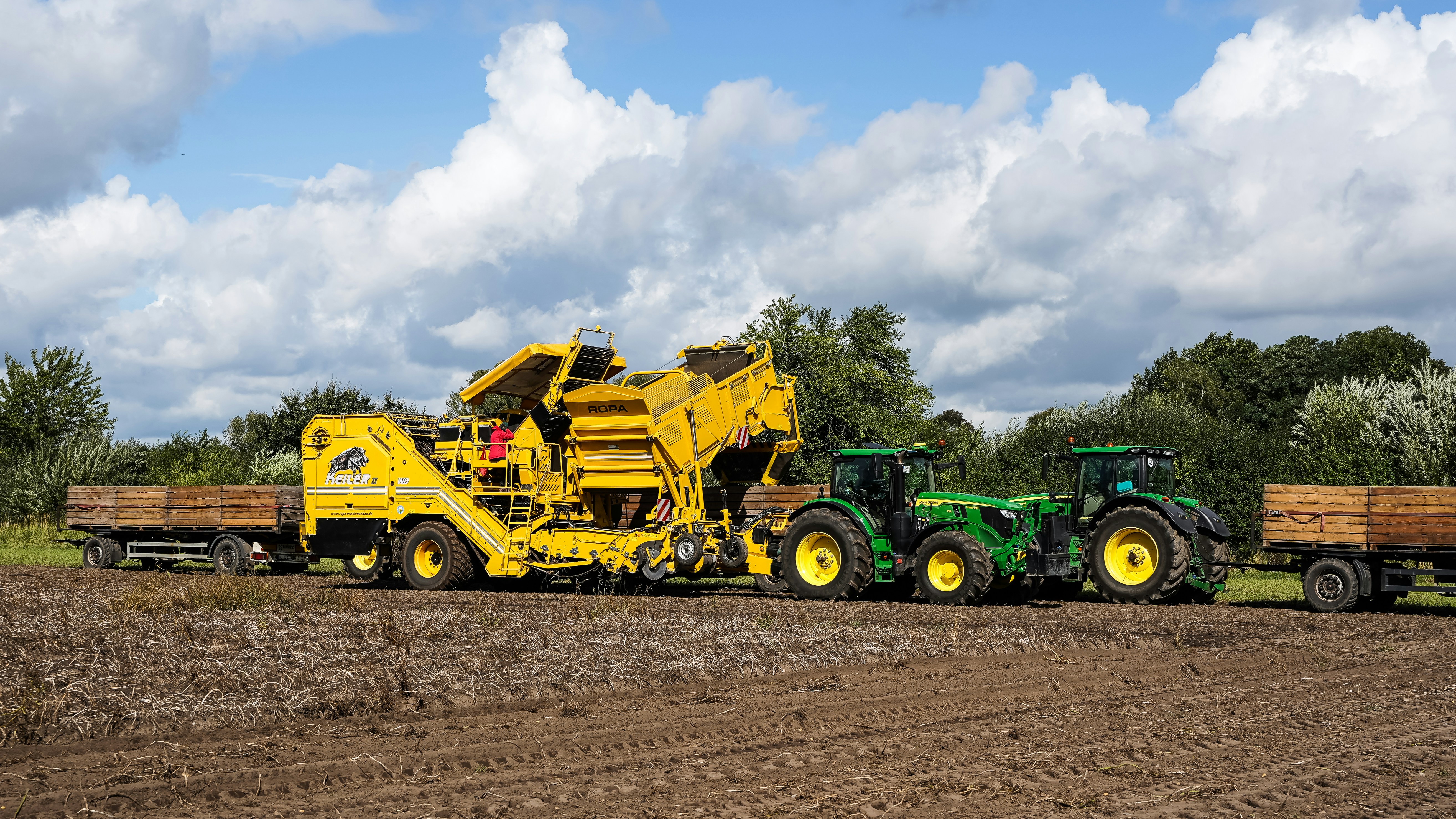 A yellow Ropa Keiler potato harvester and two green tractors in a field