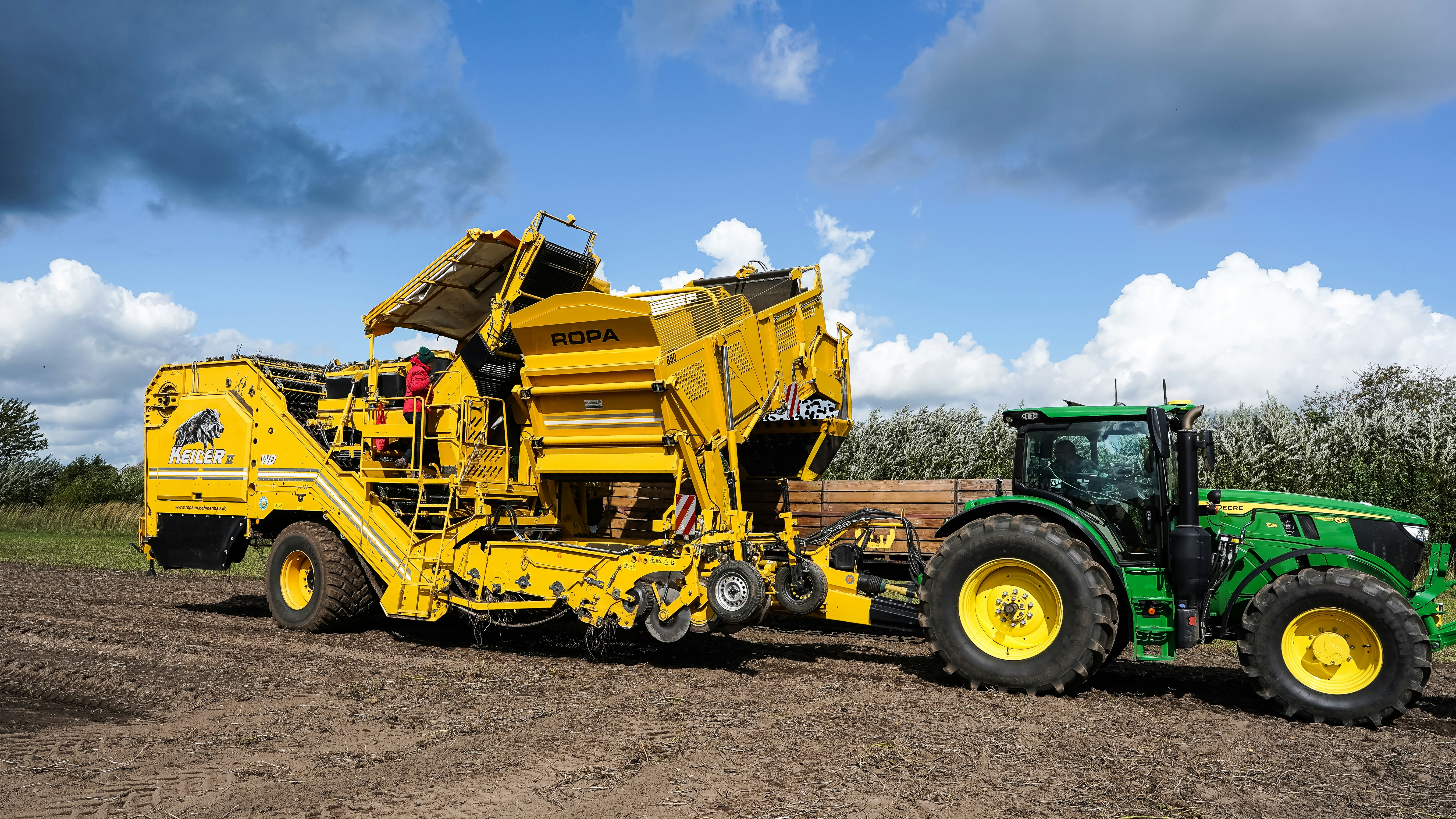 A green tractor pulling a yellow Ropa Keiler potato harvester in a field