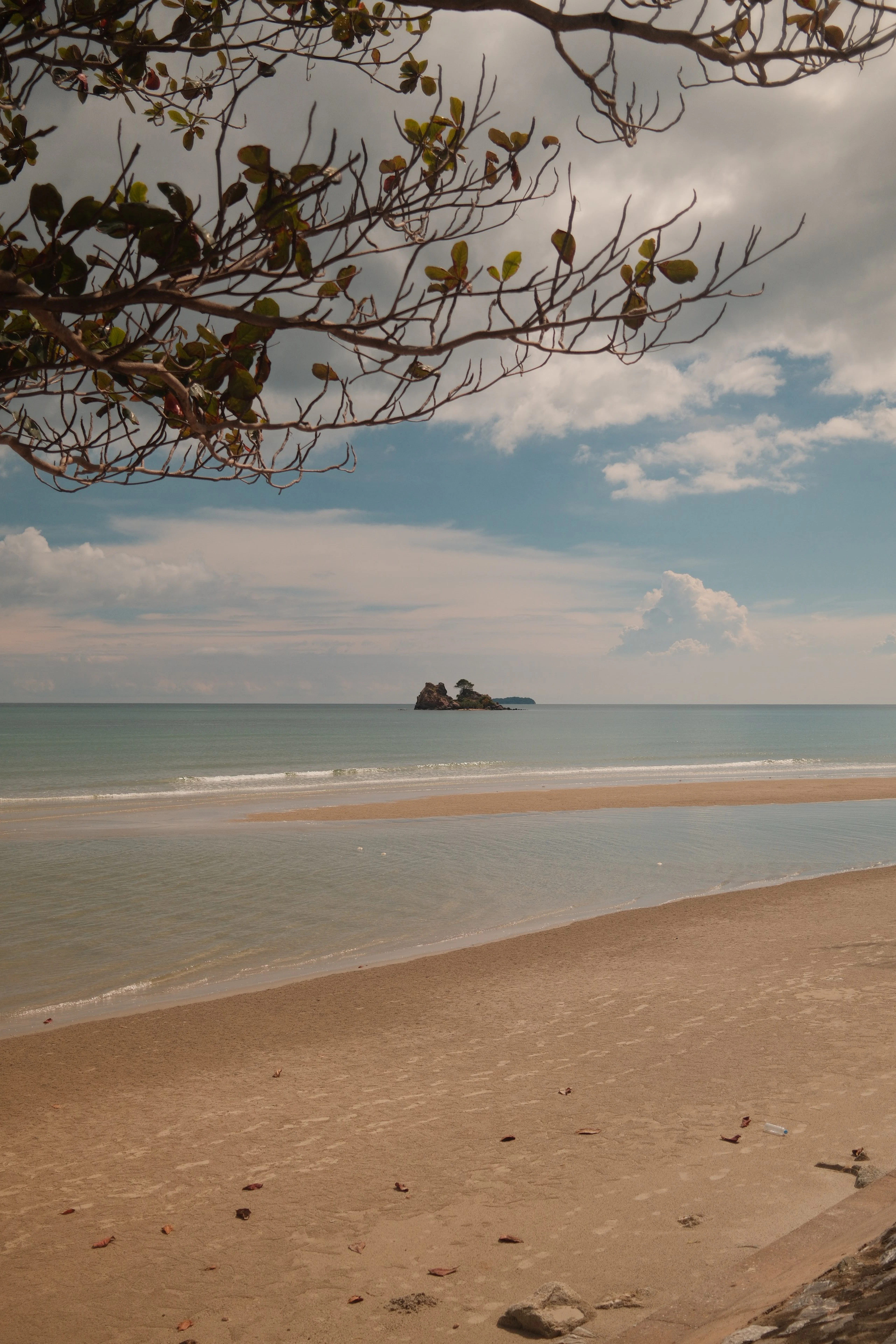 ขายที่ดิน 2 ไร่ ระยอง ใกล้หาดแม่รำพึง เหมาะทำรีสอร์ตหรือบ้านพักตากอากาศ 2