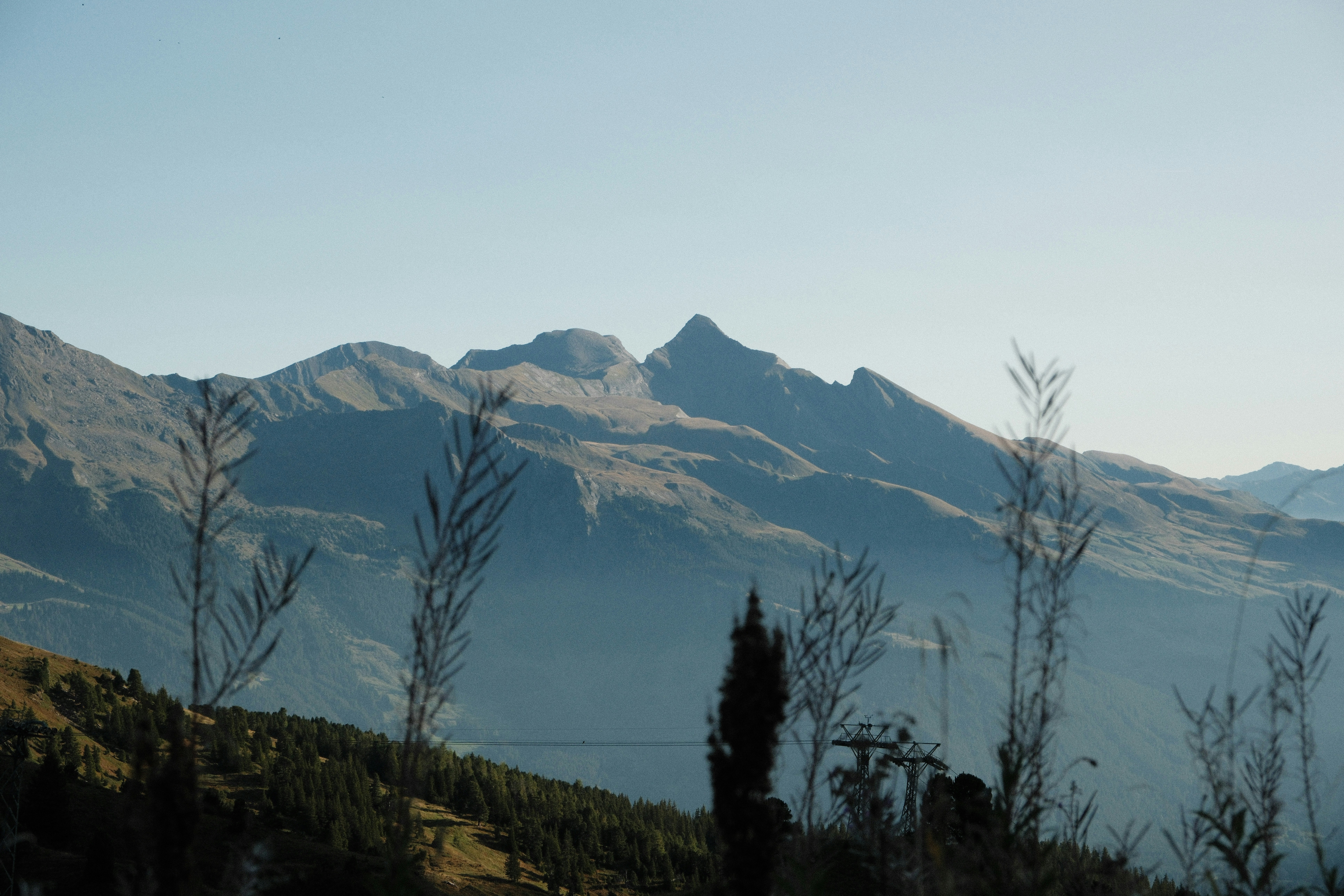 Tall mountain peaks rising above a forested slope with thin plants in foreground