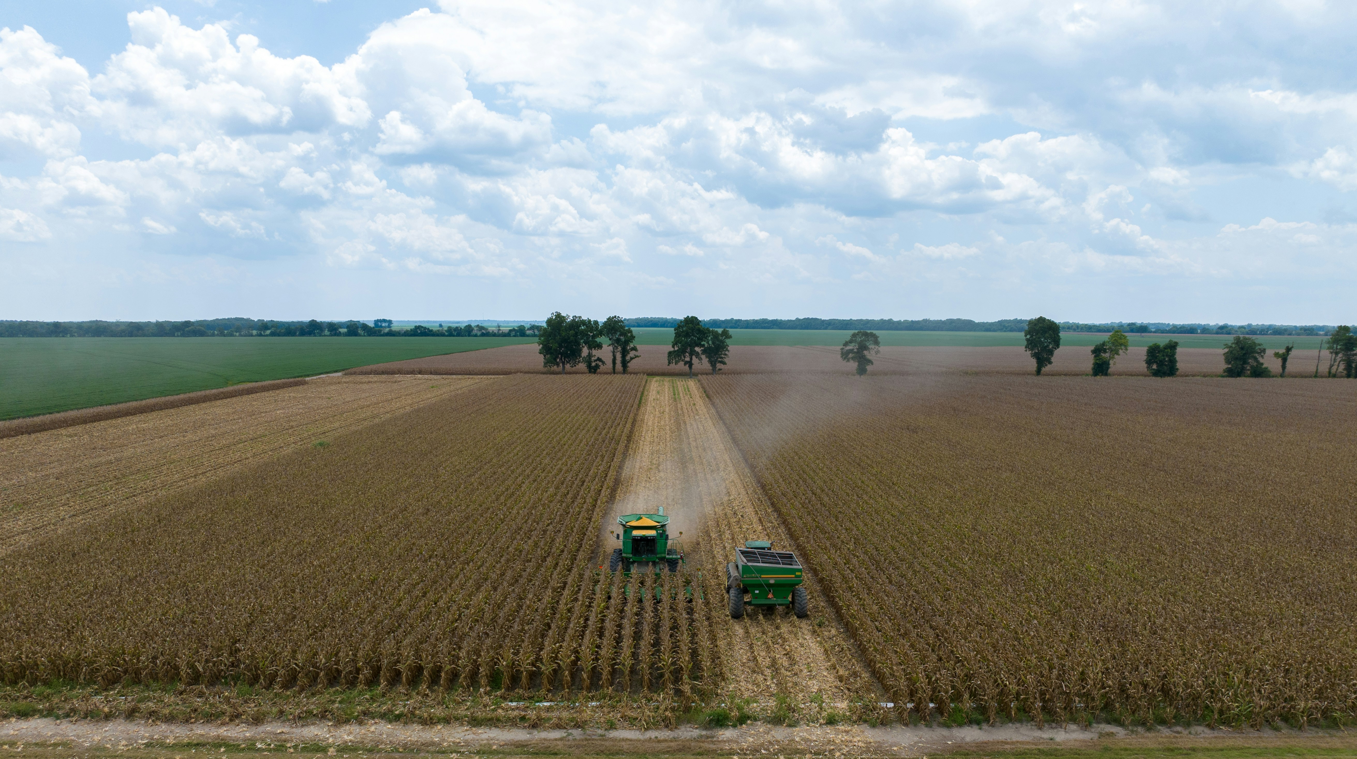 A combine harvester and a grain cart in a large corn field
