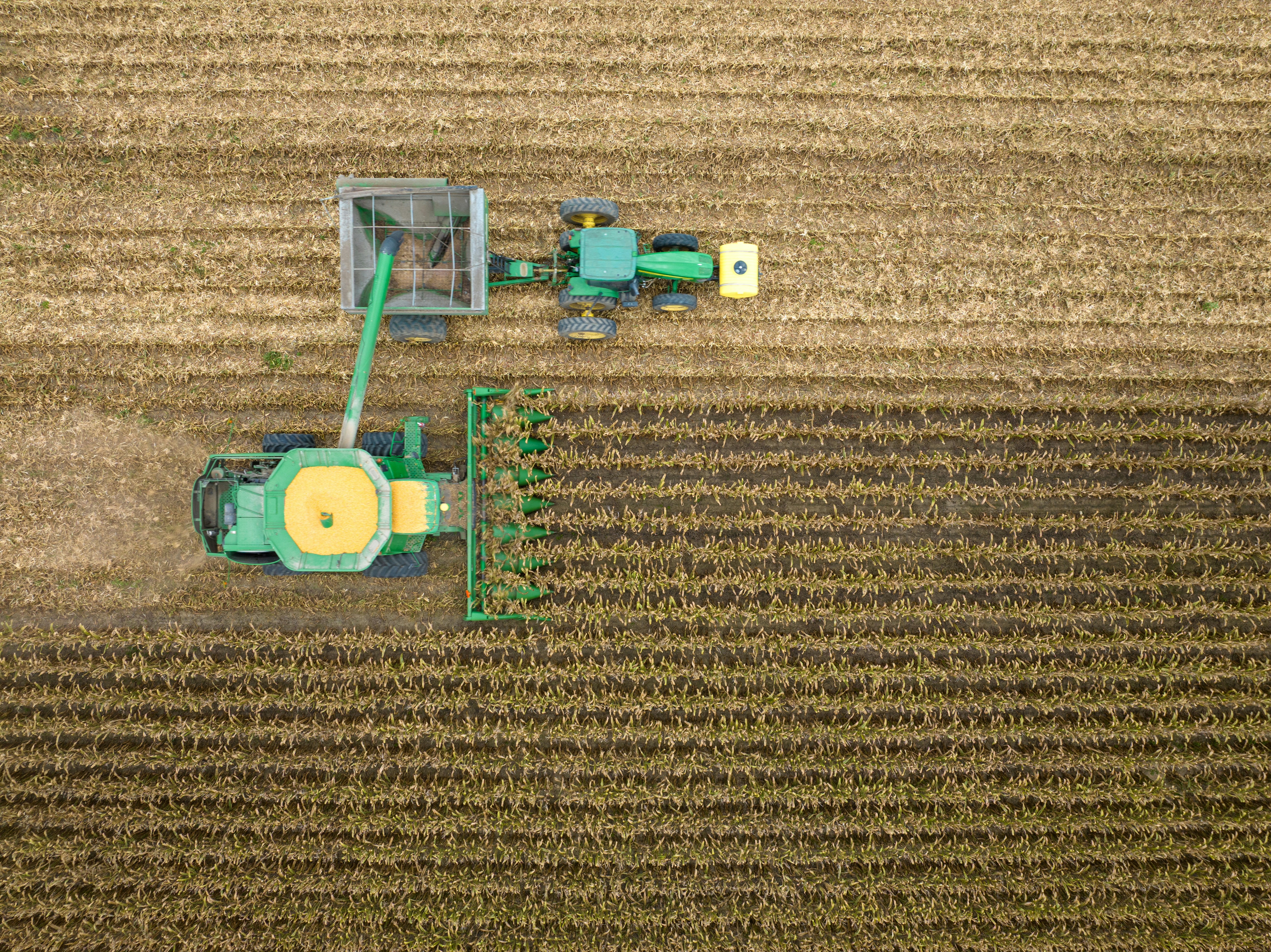 Aerial view of a combine harvester and tractor harvesting corn in a field