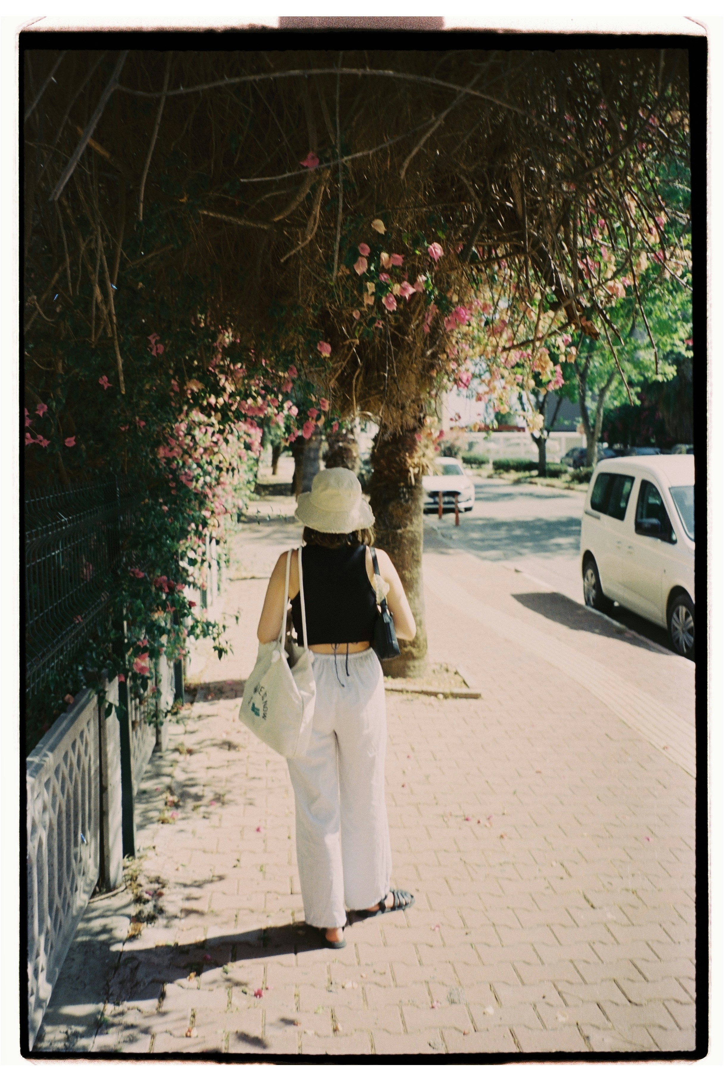 A person in a bucket hat walking along a sidewalk under flowering bougainvillea