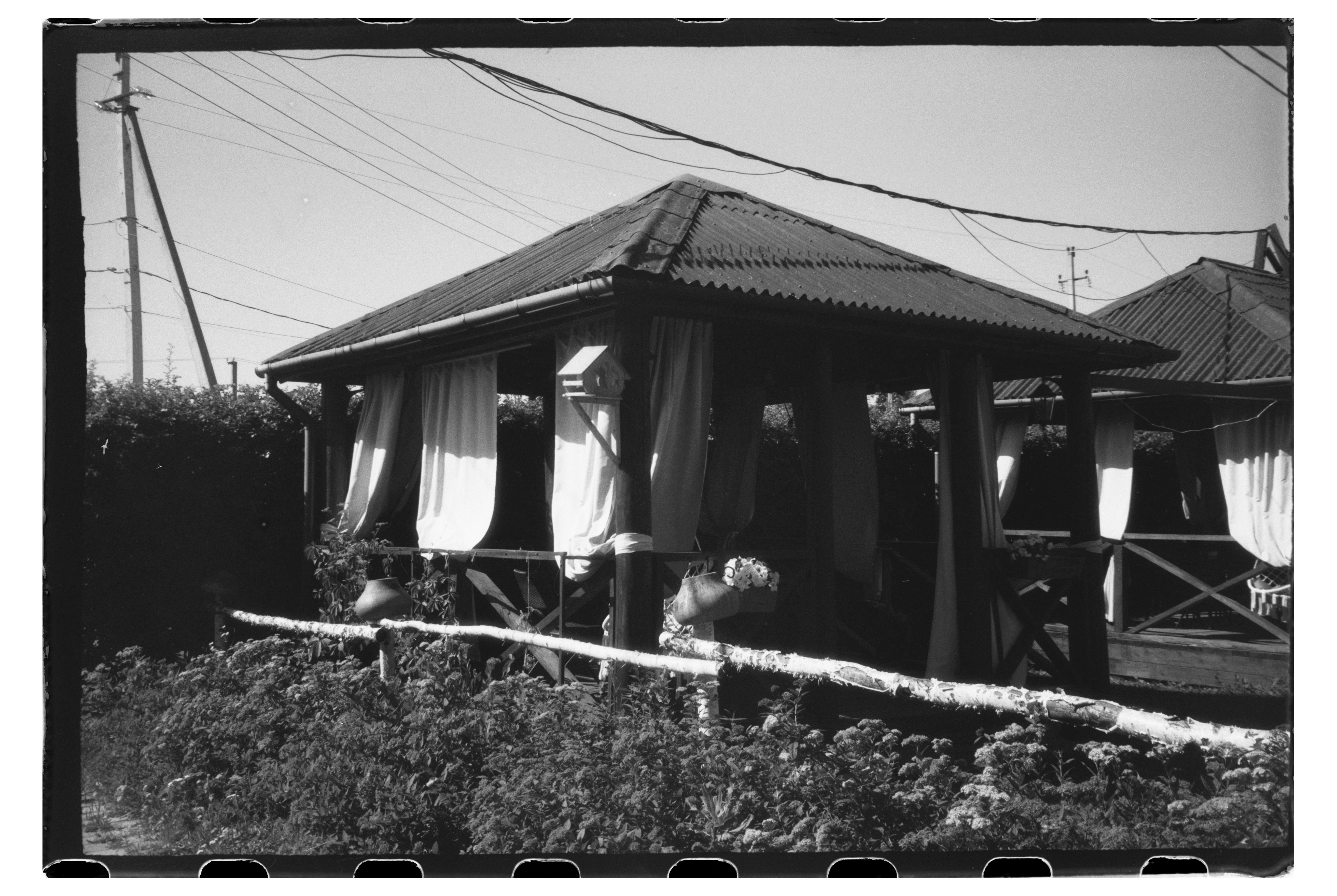 A black and white gazebo with draped curtains in a garden setting