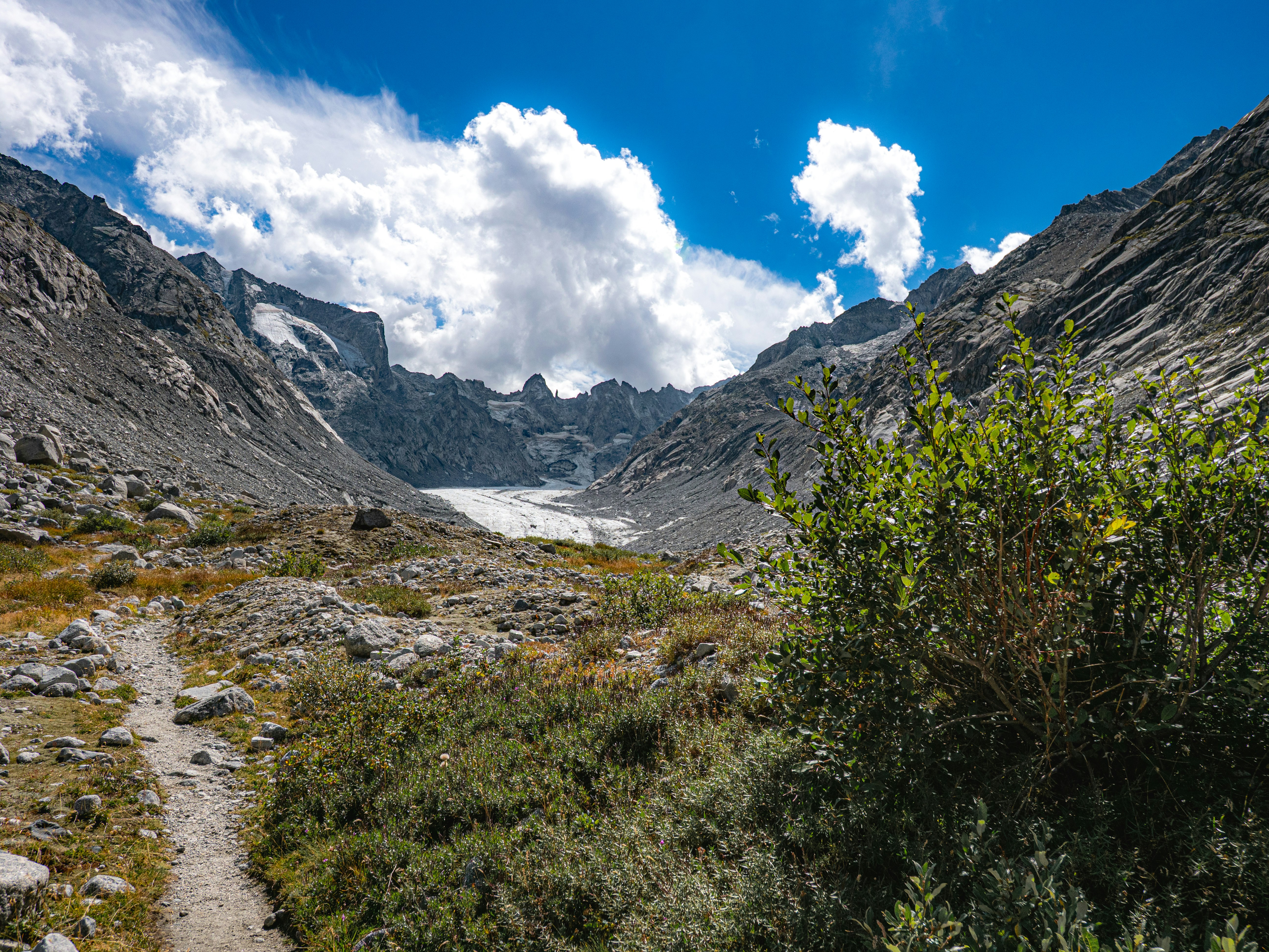A dirt trail leading toward a glacier between rocky mountain peaks under a blue sky