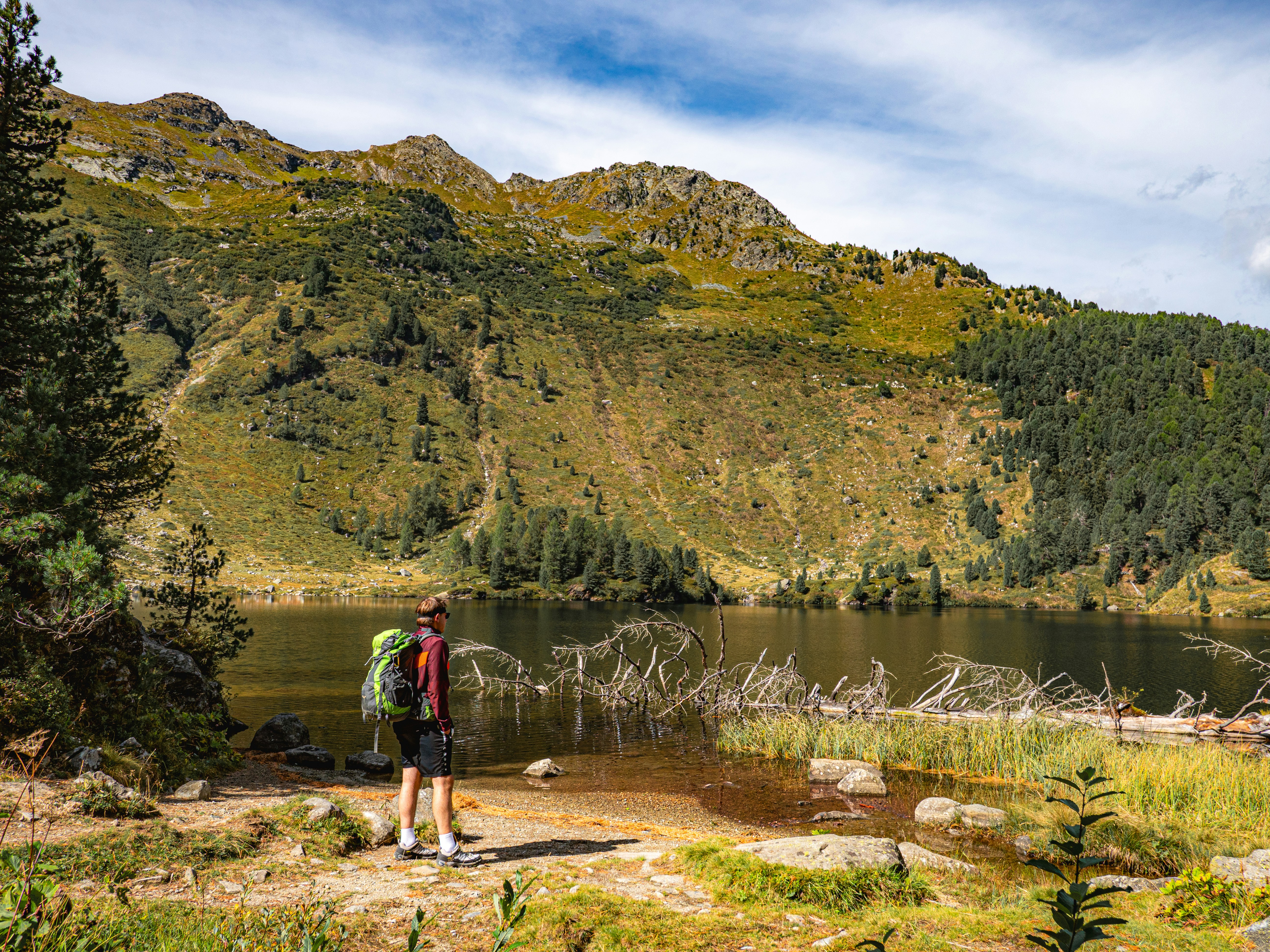 A hiker with a backpack looking at a mountain lake with fallen trees
