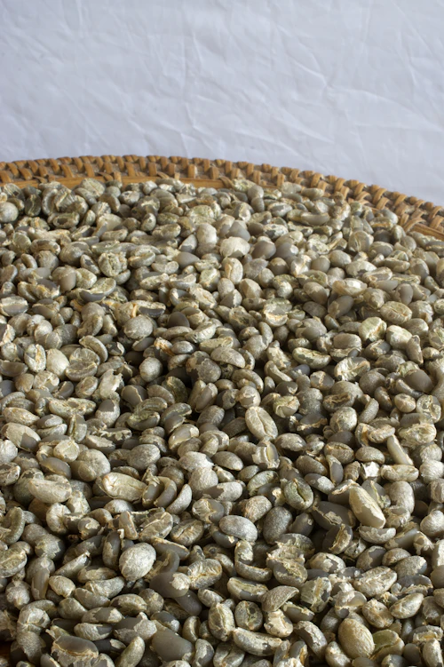 Raw green coffee beans in a woven basket