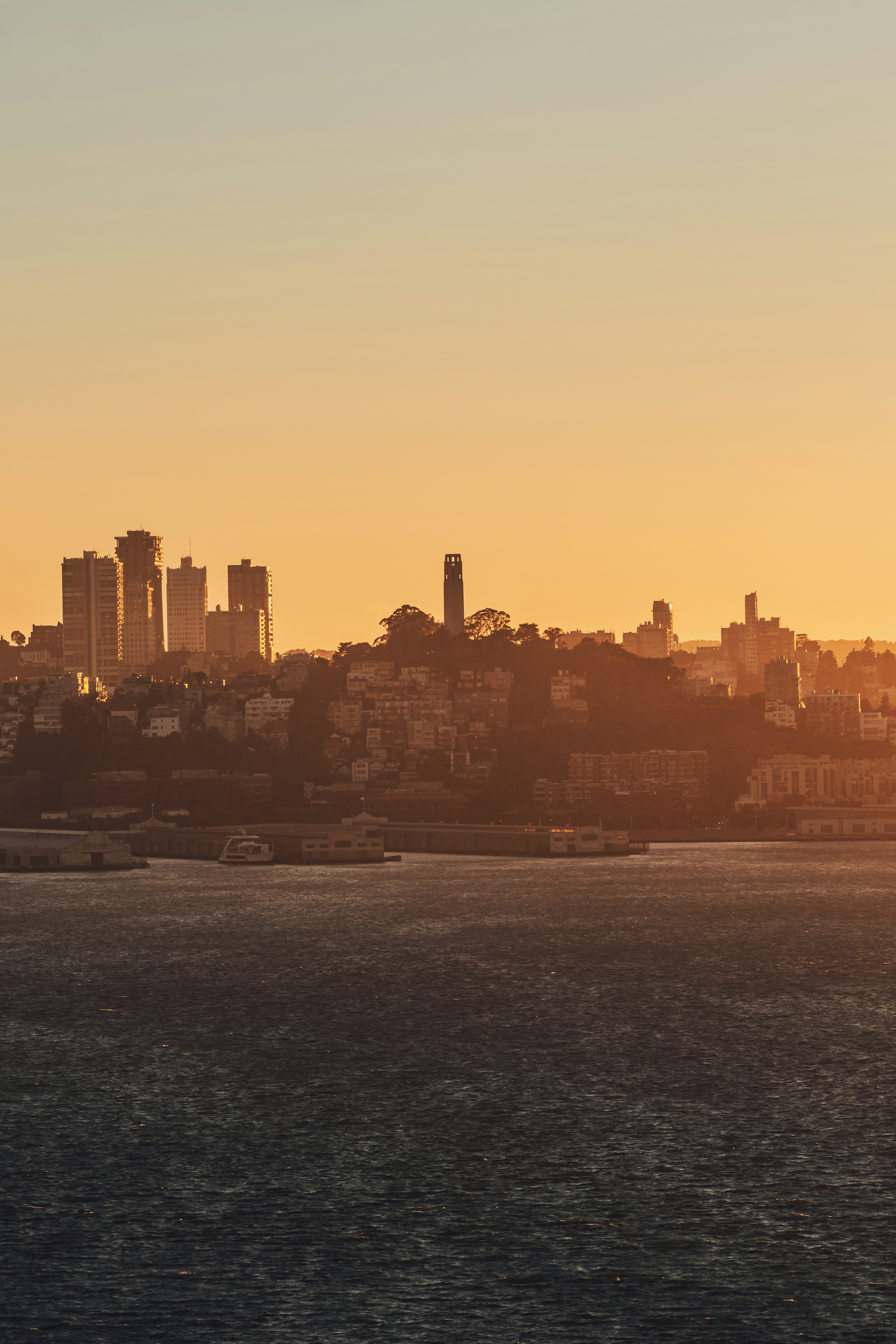 Coit Tower and the San Francisco skyline at golden hour across the bay