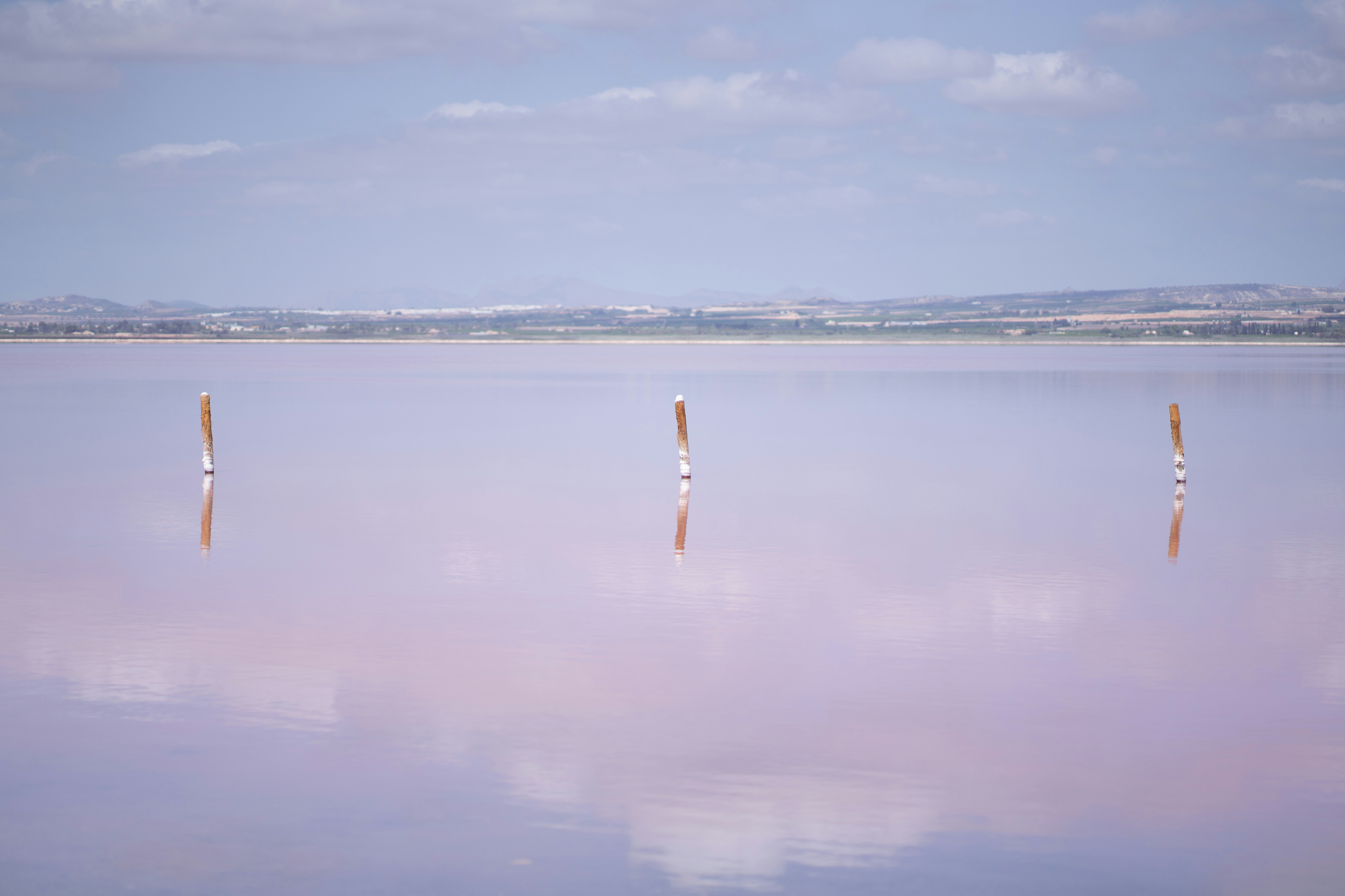 Three wooden posts protruding from the calm surface of a pink salt lake