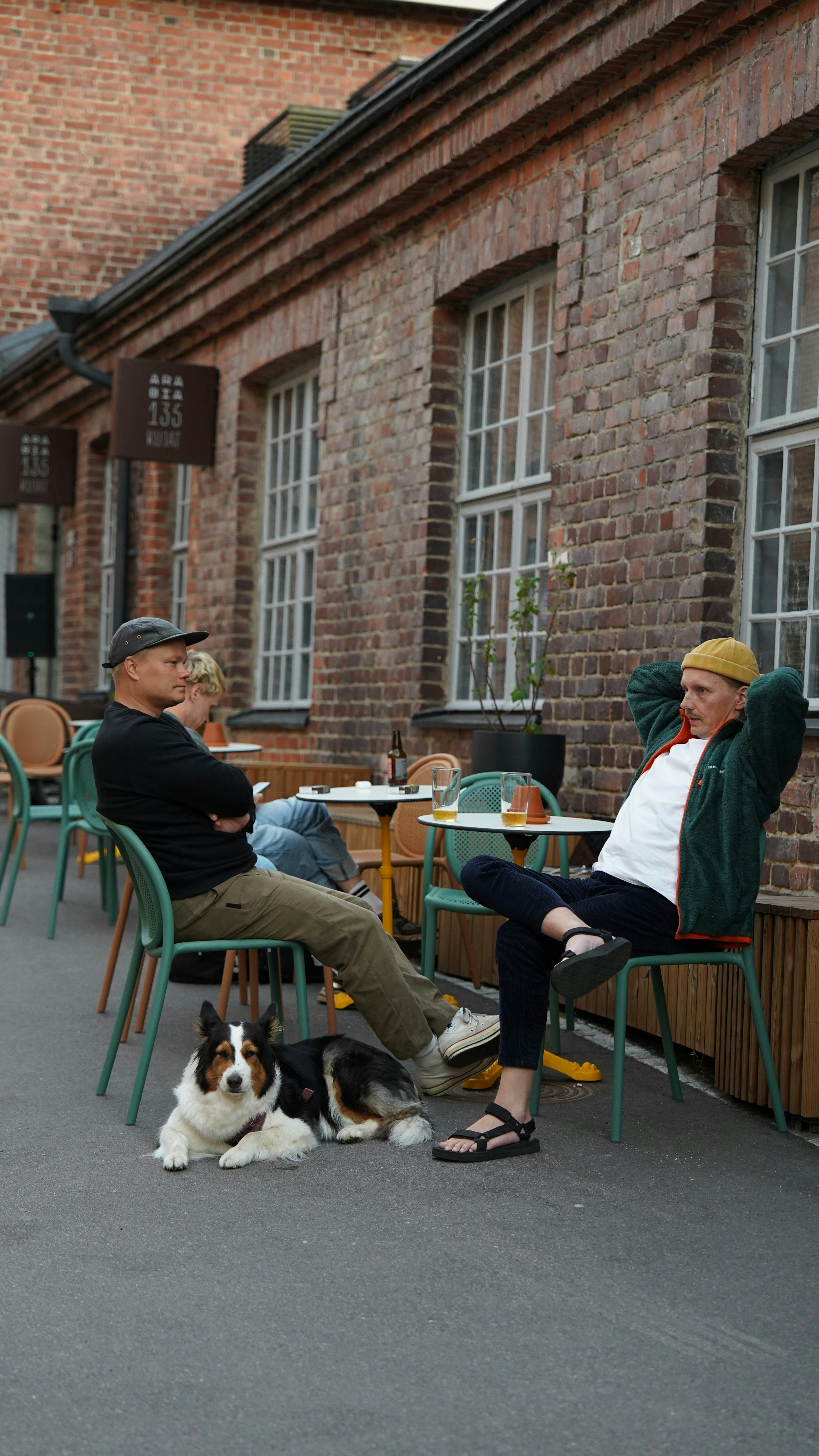 A dog relaxing at a cafe