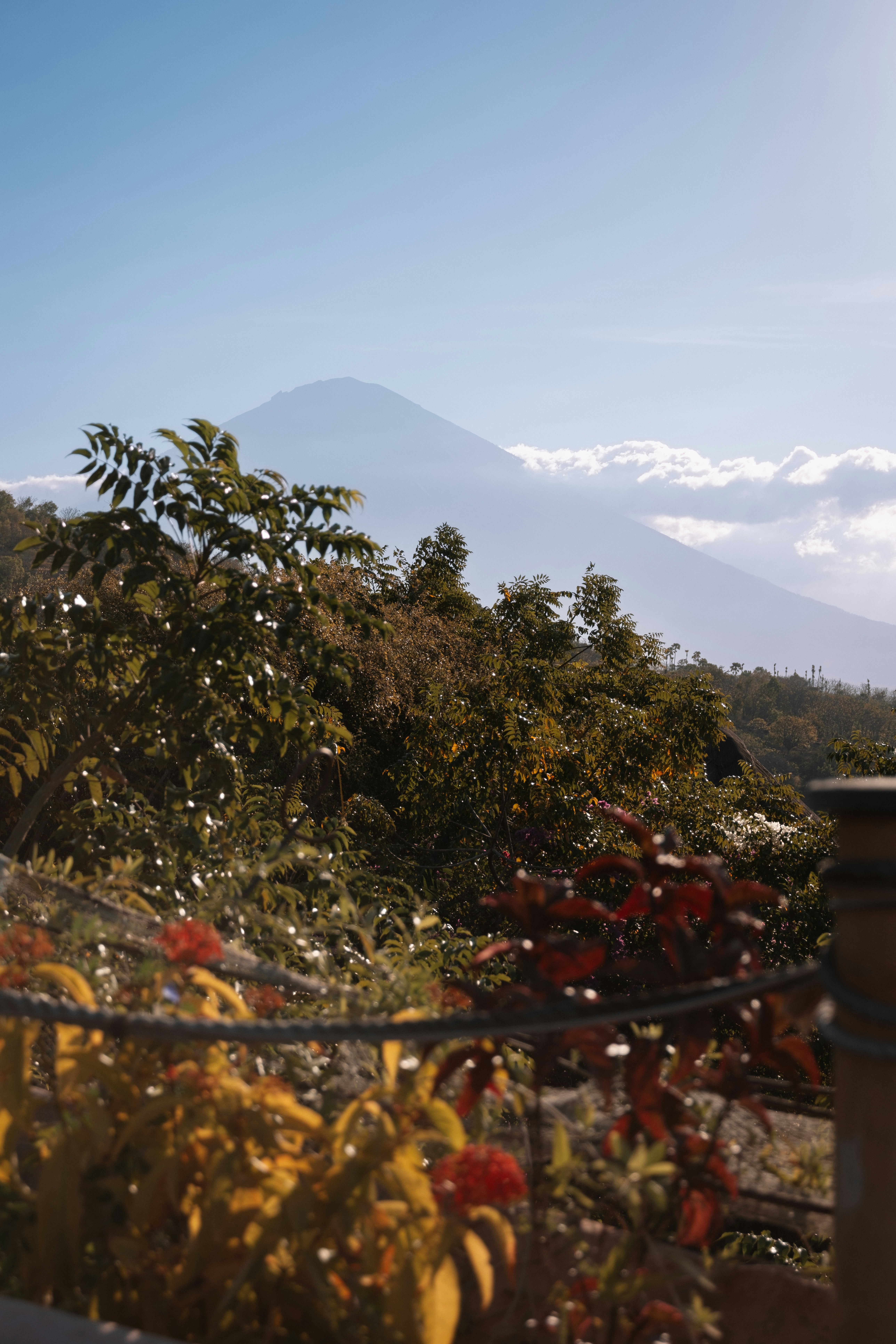 A large mountain peak rising behind lush green trees and colorful flowering plants