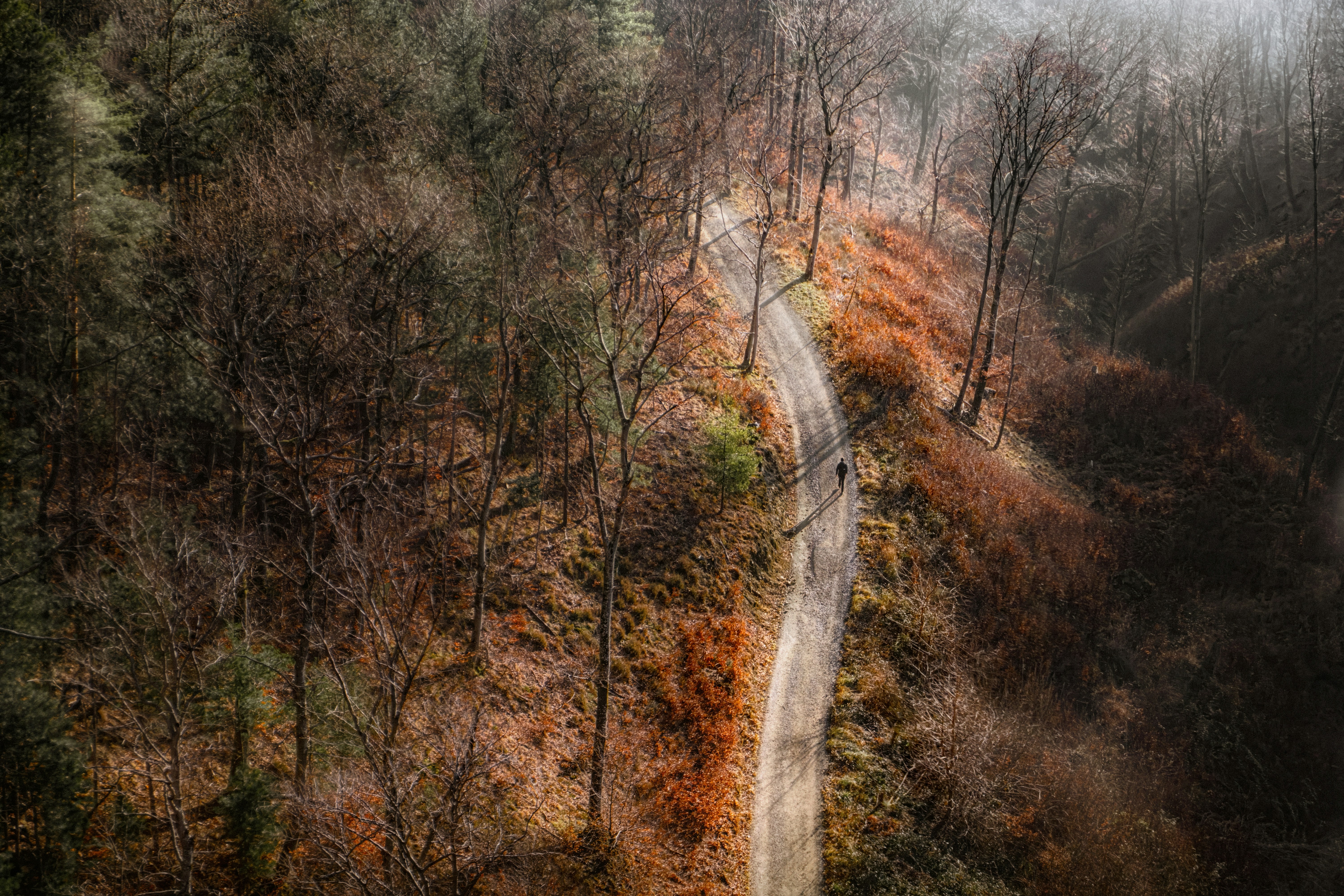 Una persona che cammina su un sentiero sterrato attraverso una foresta a Zagabria, Croazia