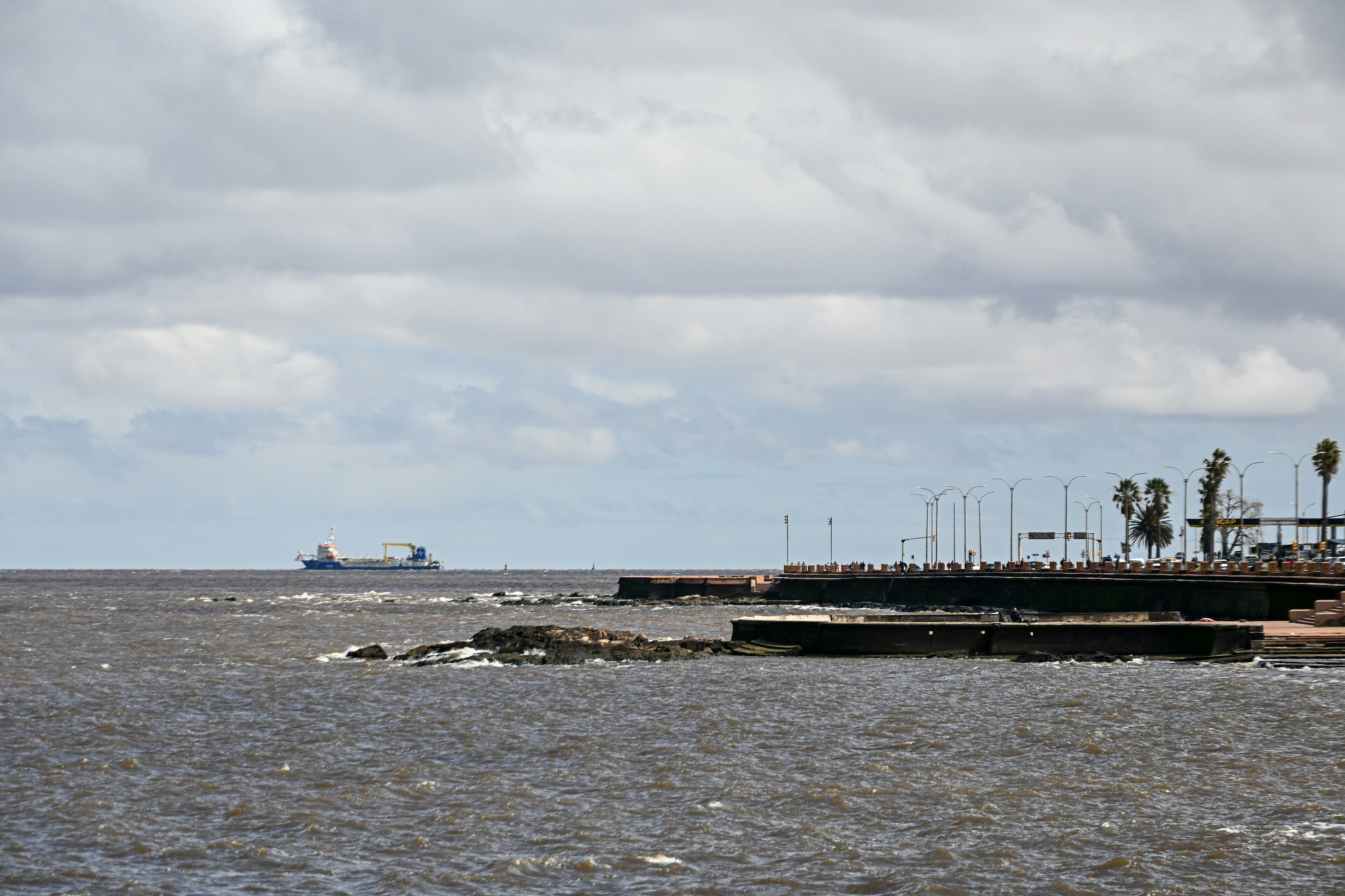 Un cargo à l’horizon près d’une côte rocheuse avec une promenade pavée