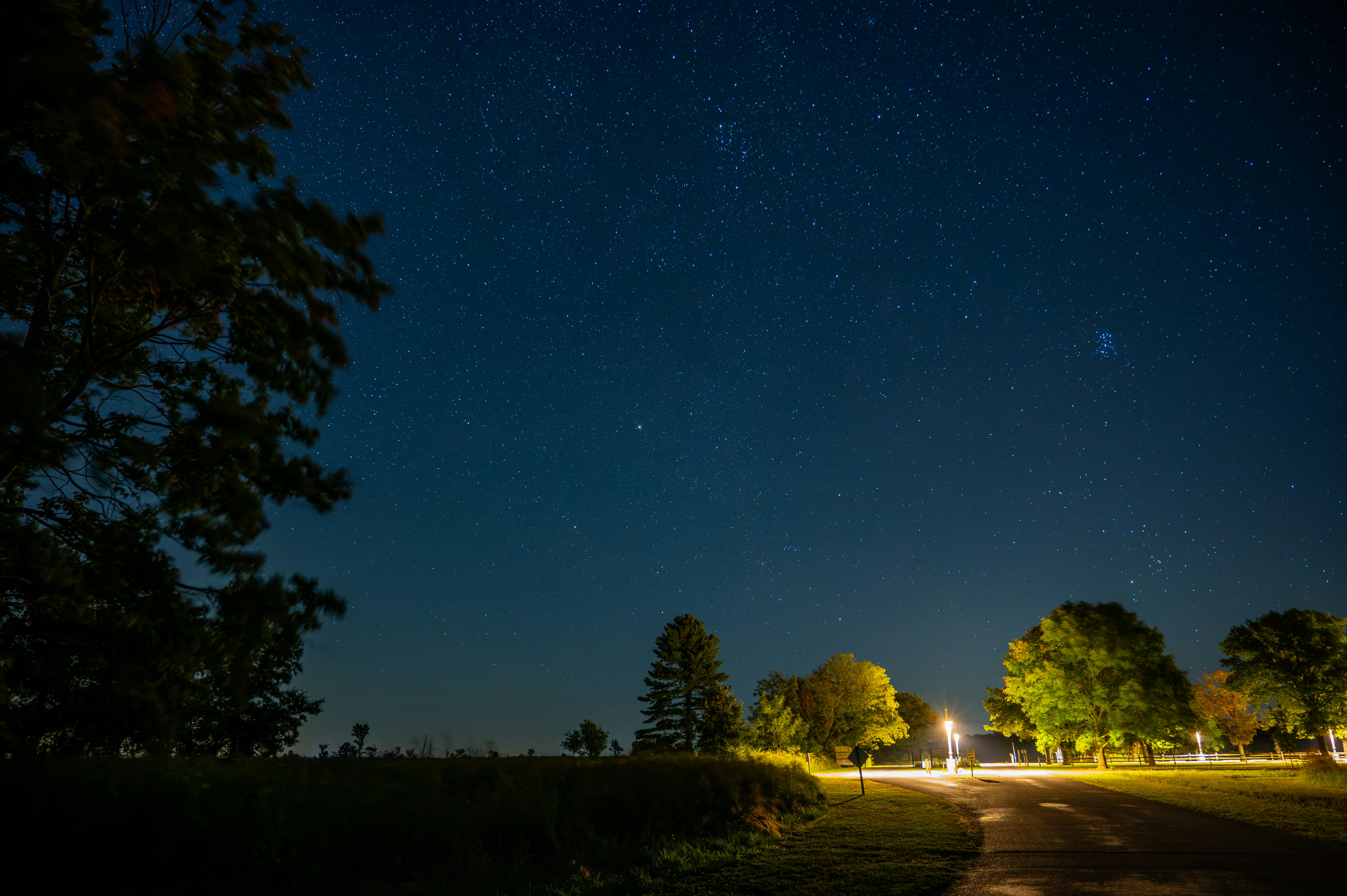 A starry night sky above a dark road lined with illuminated trees