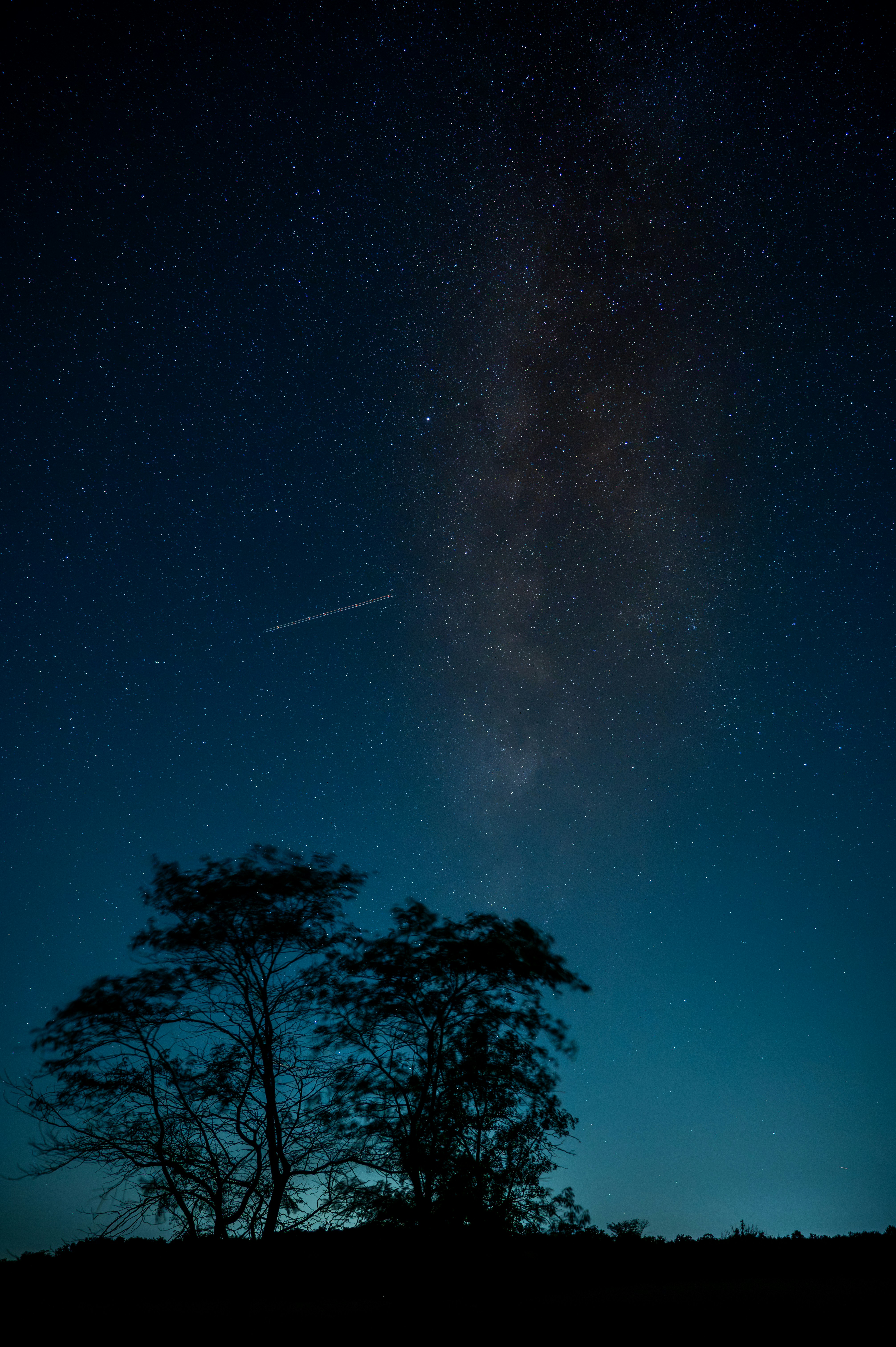 Silhouetted trees against a starry night sky with a long exposure light streak