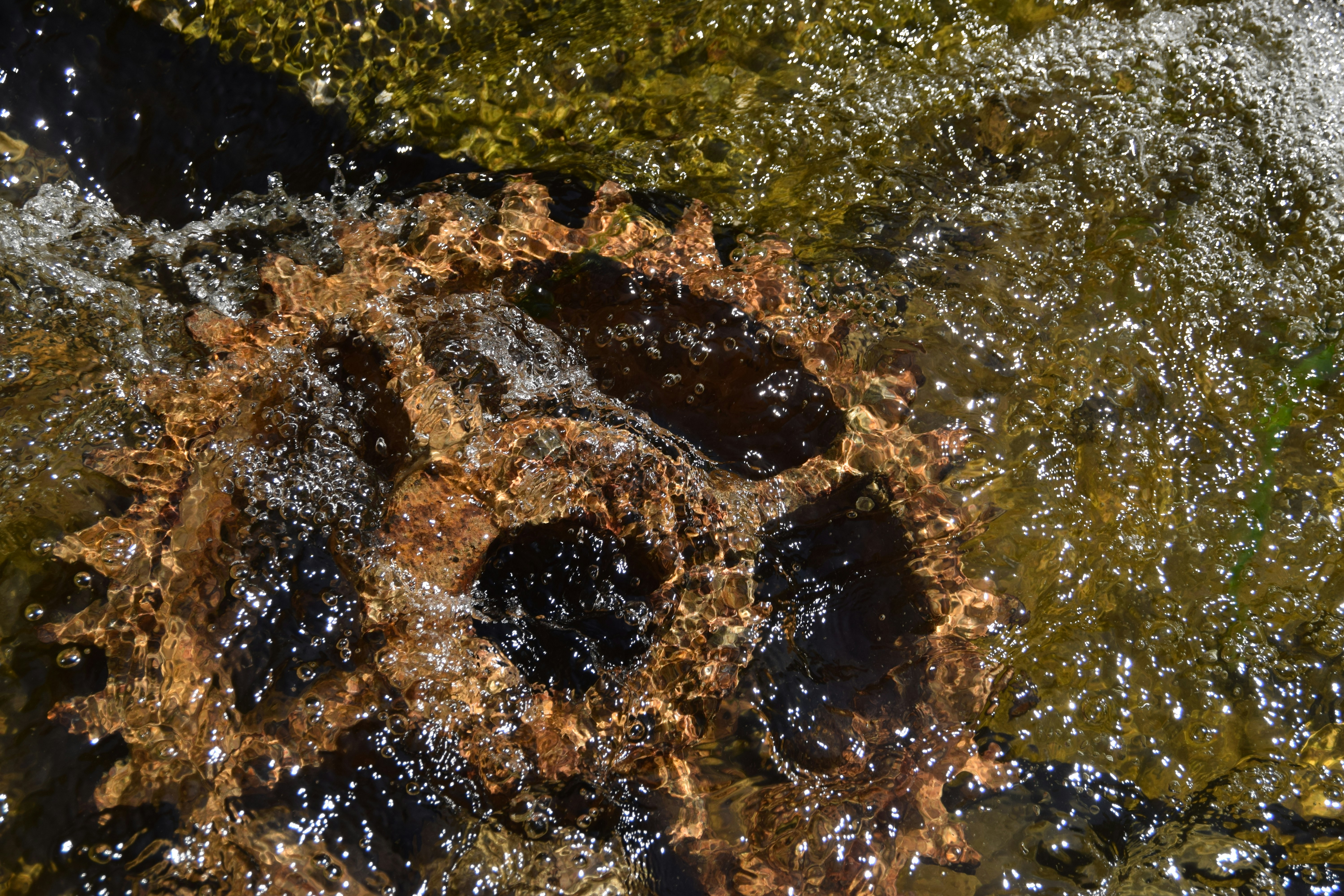 Ein verrostetes Metallzahnrad, das in klares fließendes Wasser mit Oberflächenblasen getaucht ist