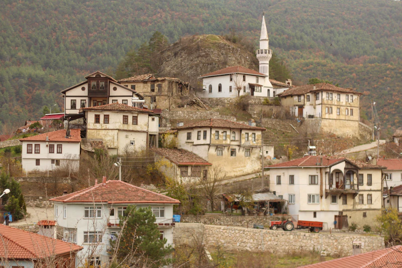 Cumalıkızık Village Houses