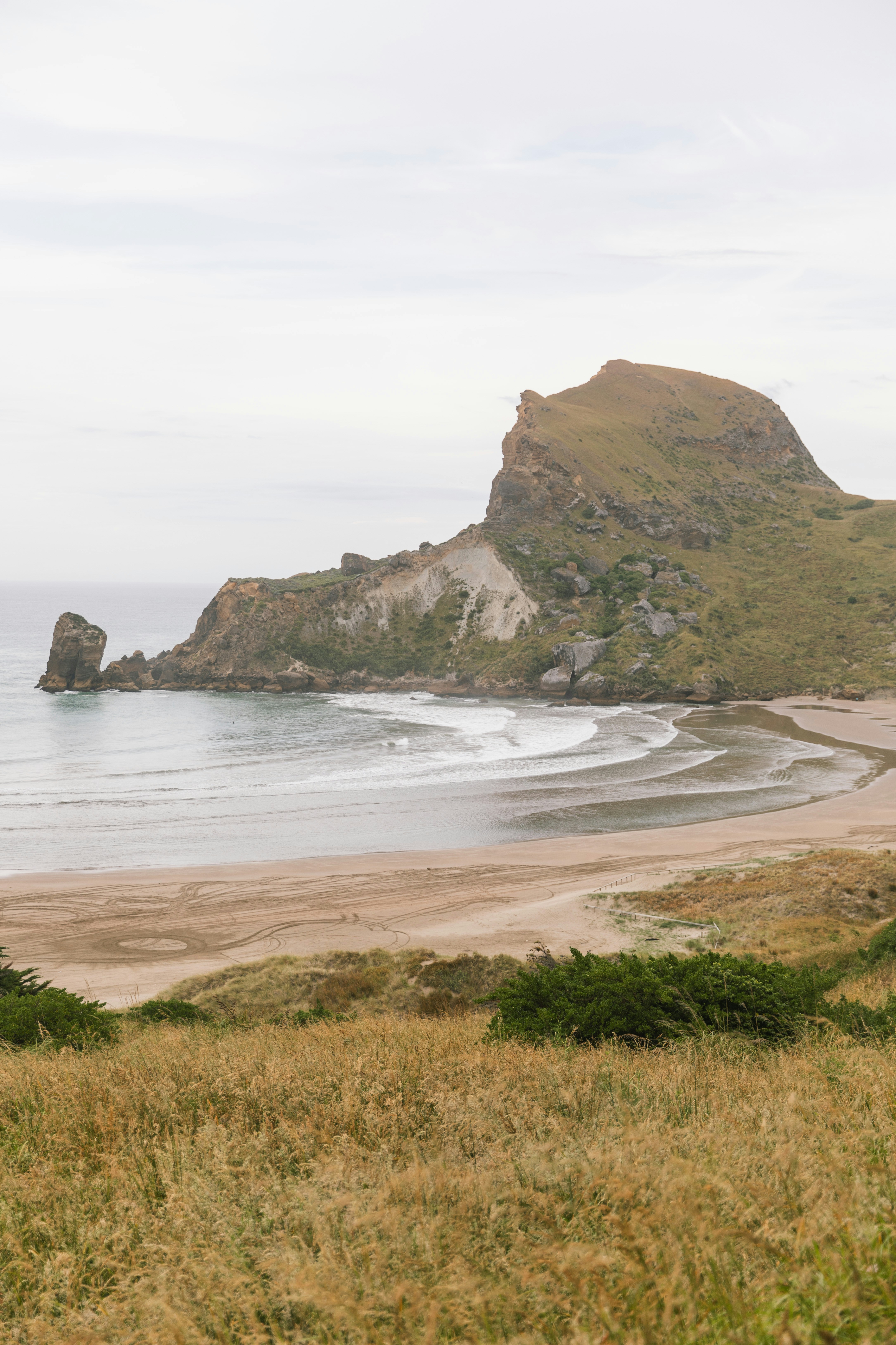 A sandy beach with tire tracks below a large grassy coastal headland