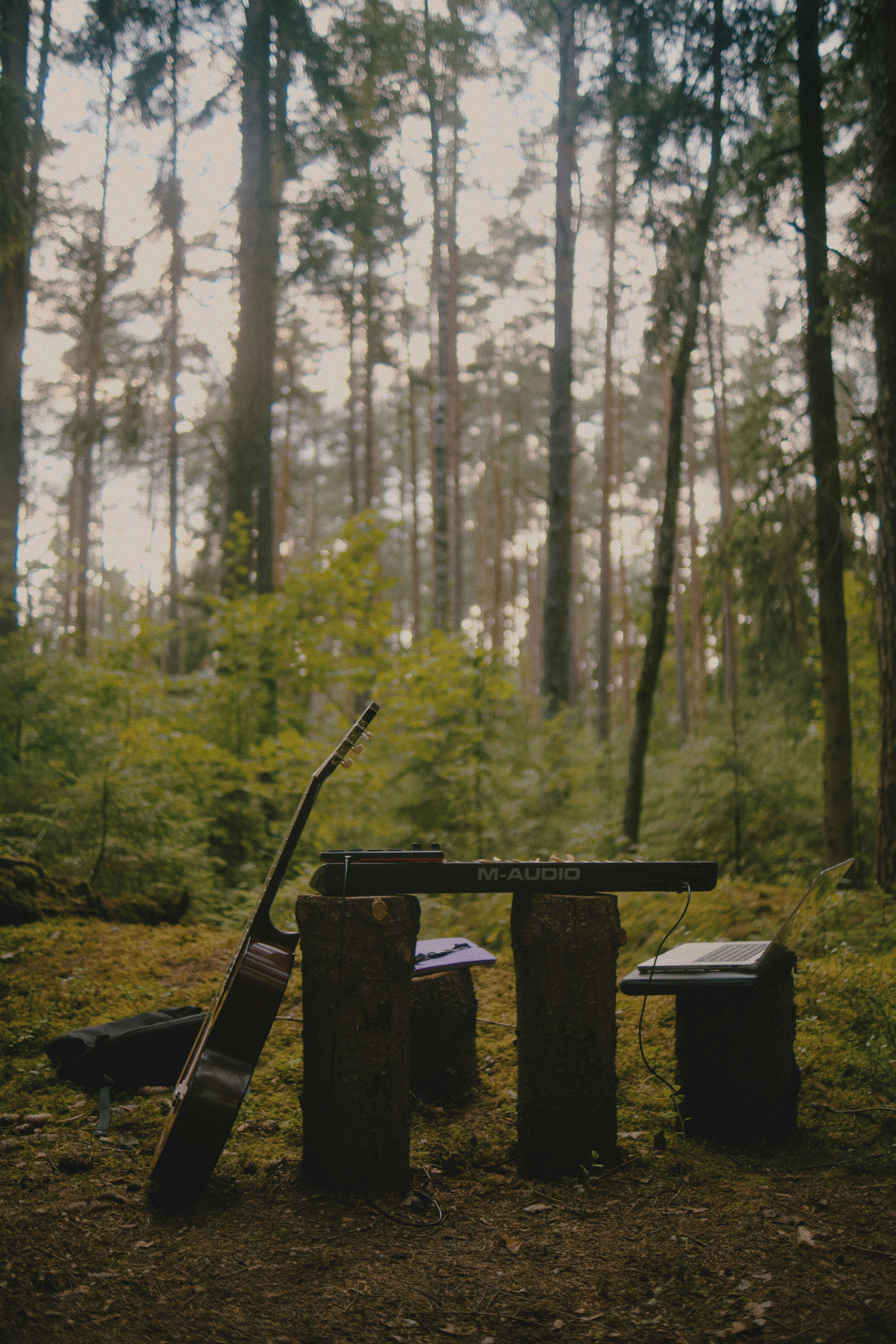A guitar, a keyboard controller, and a laptop on tree stumps in a forest
