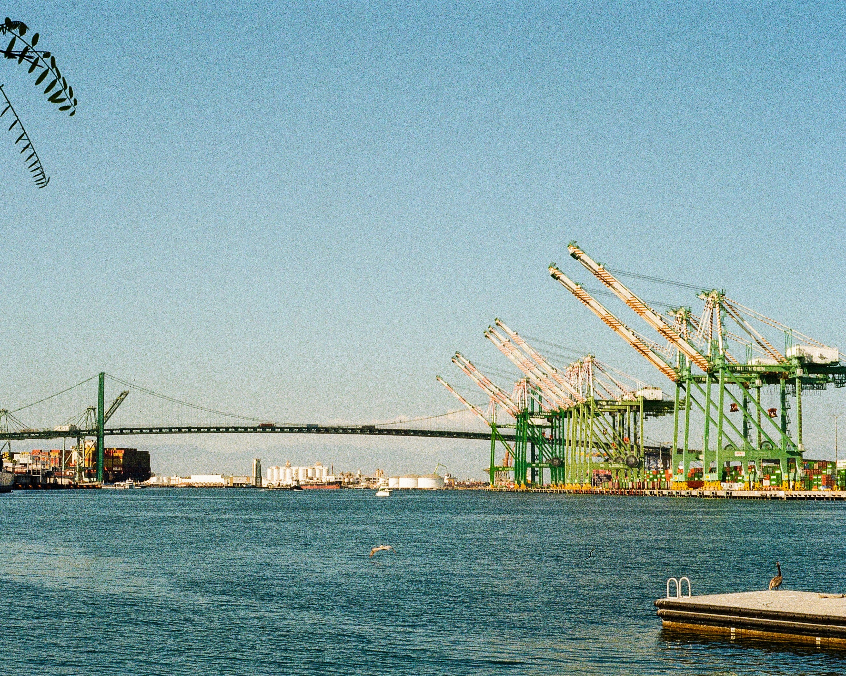A suspension bridge and green shipping cranes at a busy harbor in Los Angeles