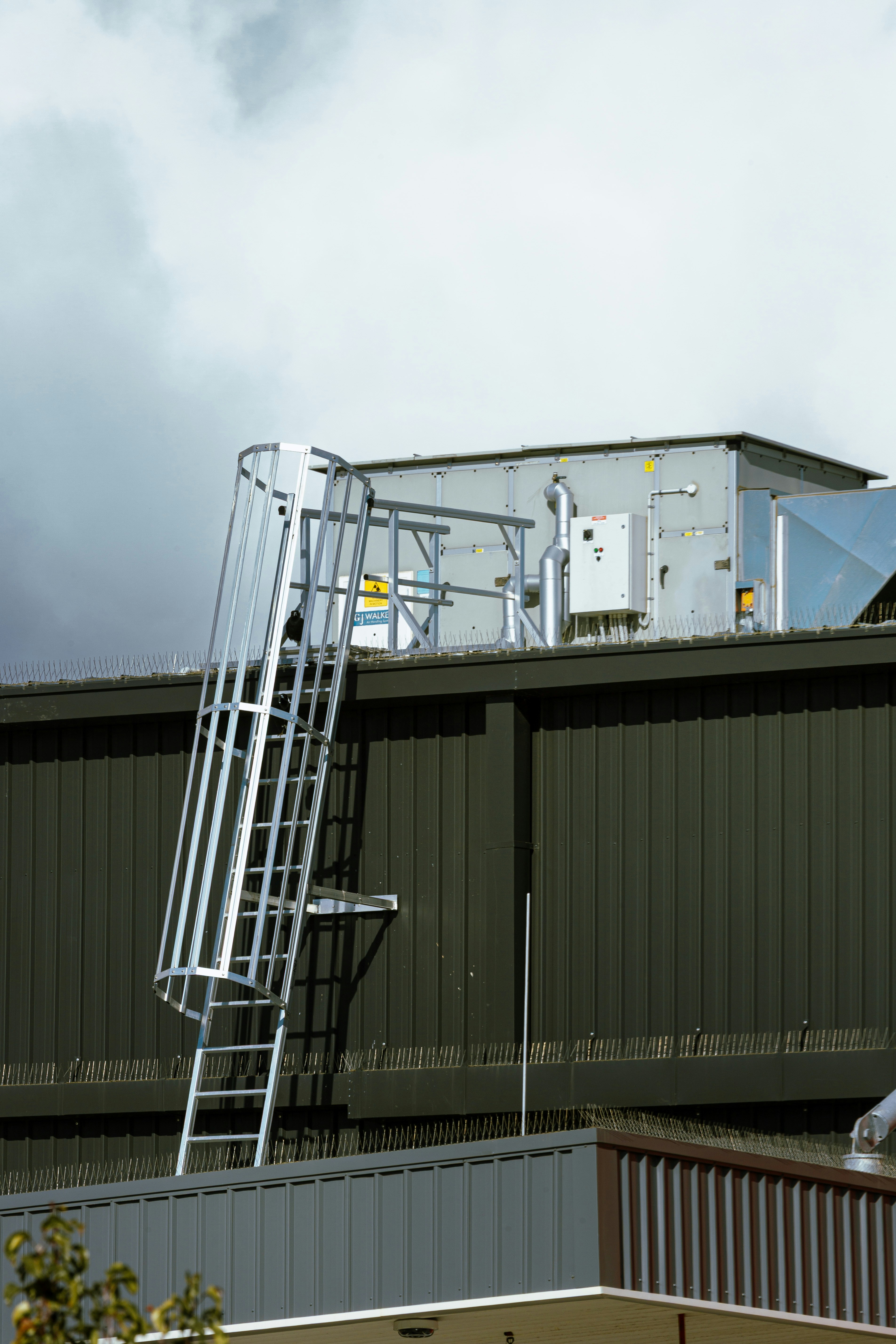 A metal safety ladder with a cage attached to a dark green industrial wall