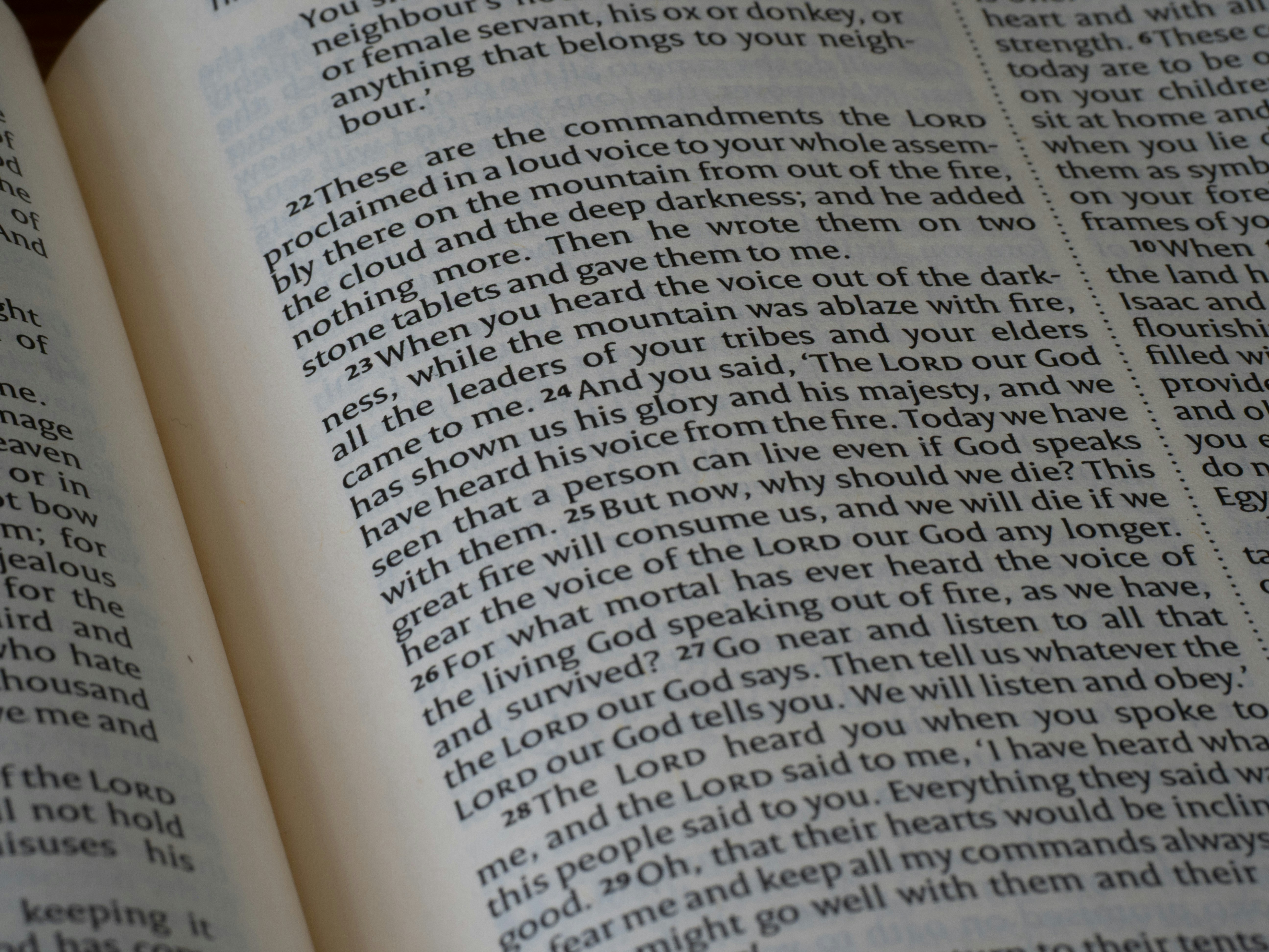 Close-up of printed text on a page of an open book