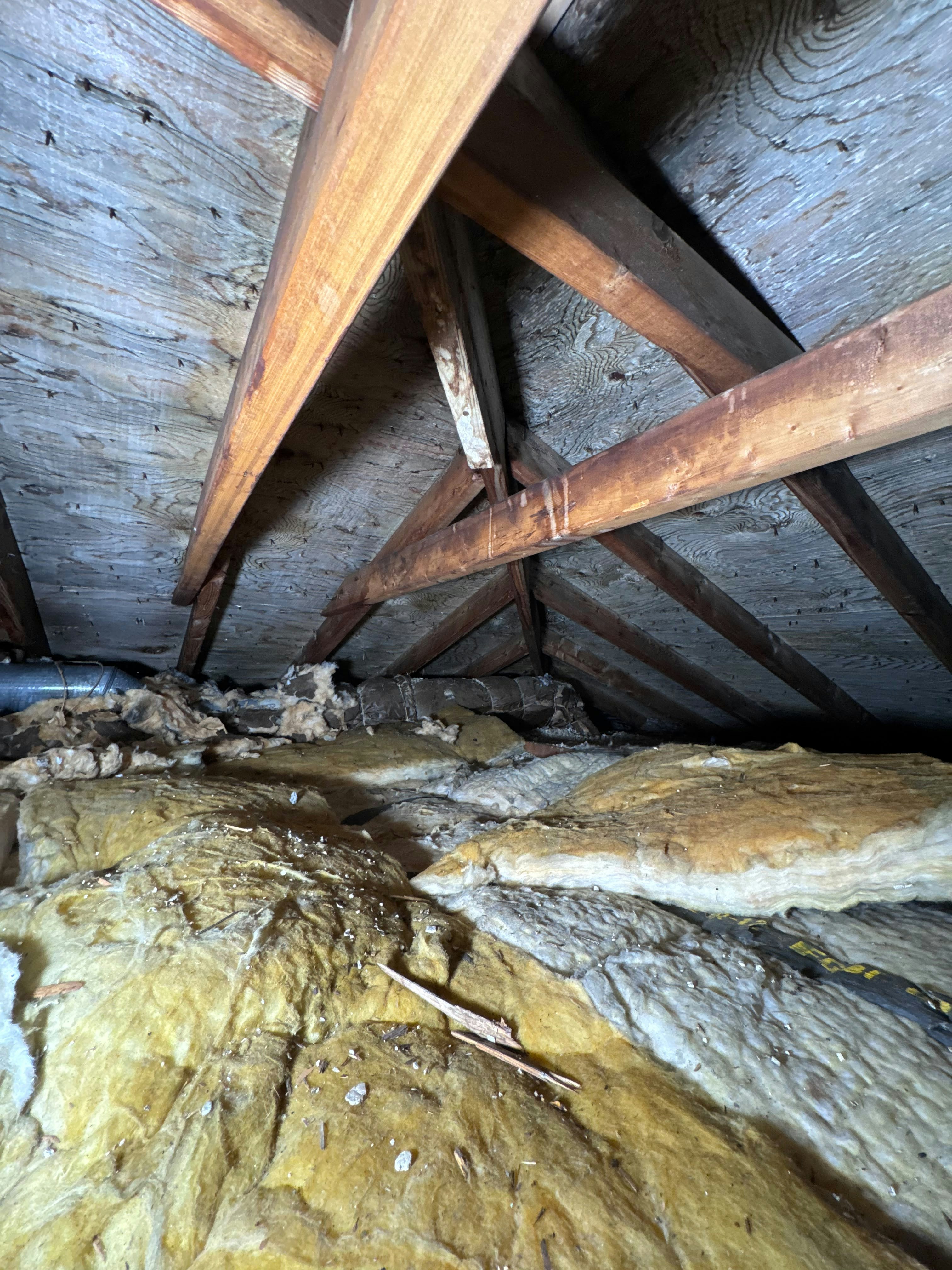 Yellow fiberglass insulation between wooden roof rafters in a dark attic space