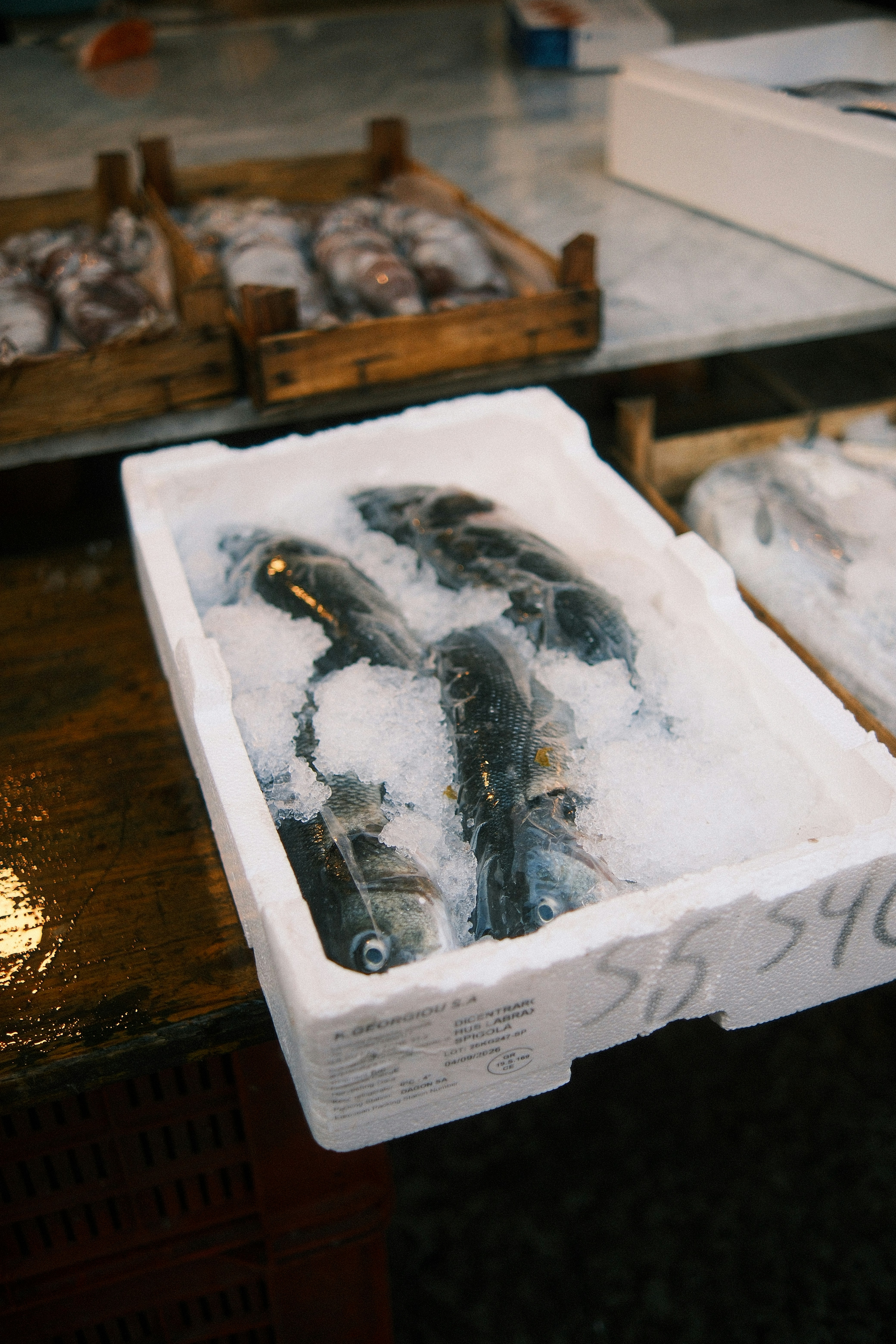 Fresh whole fish packed in ice inside a white styrofoam container