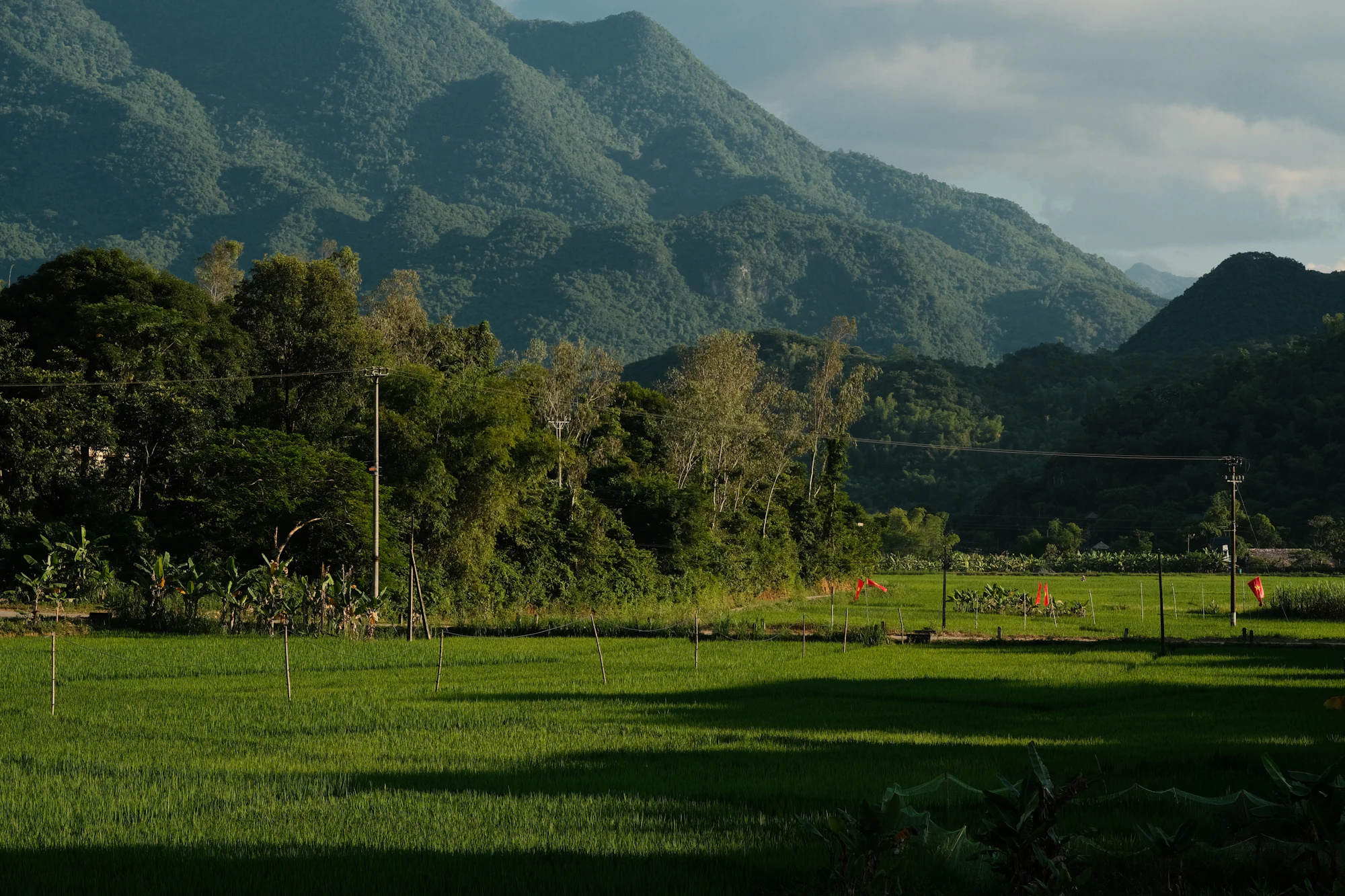 Mai Chau