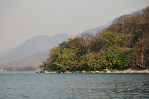 A wooded headland over the water — A small motorboat moored under a leafy tree on Lake Malawi