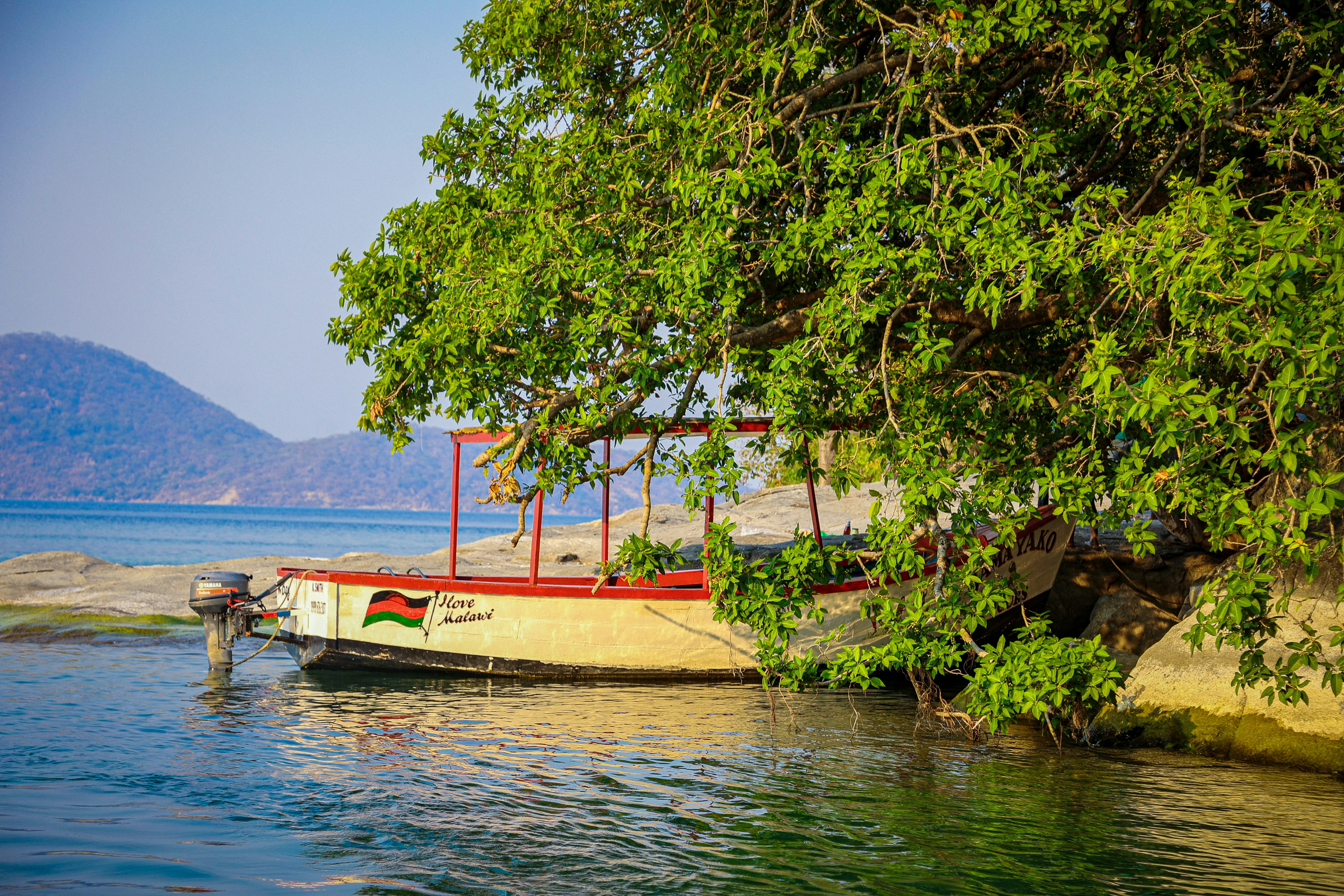A small motorboat moored under a tree on Lake Malawi