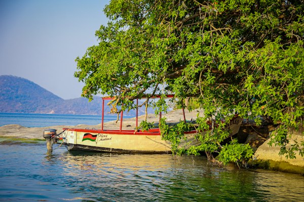 A boat moored under the trees — A small motorboat moored under a leafy tree on Lake Malawi