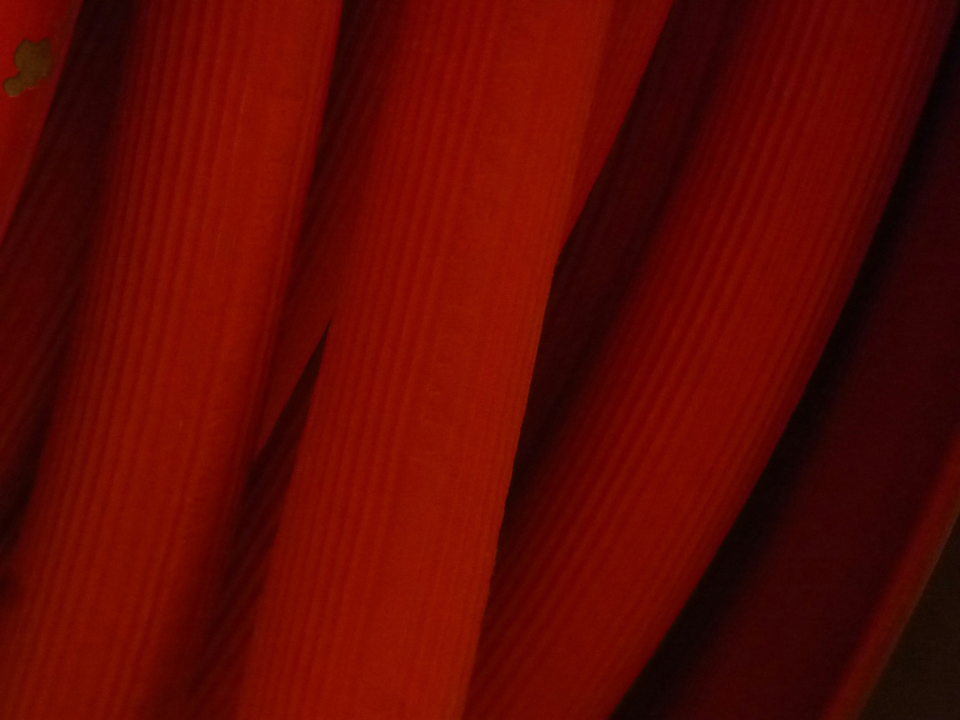 thick red and black battery cables with an inline fuse holder connected to a battery terminal